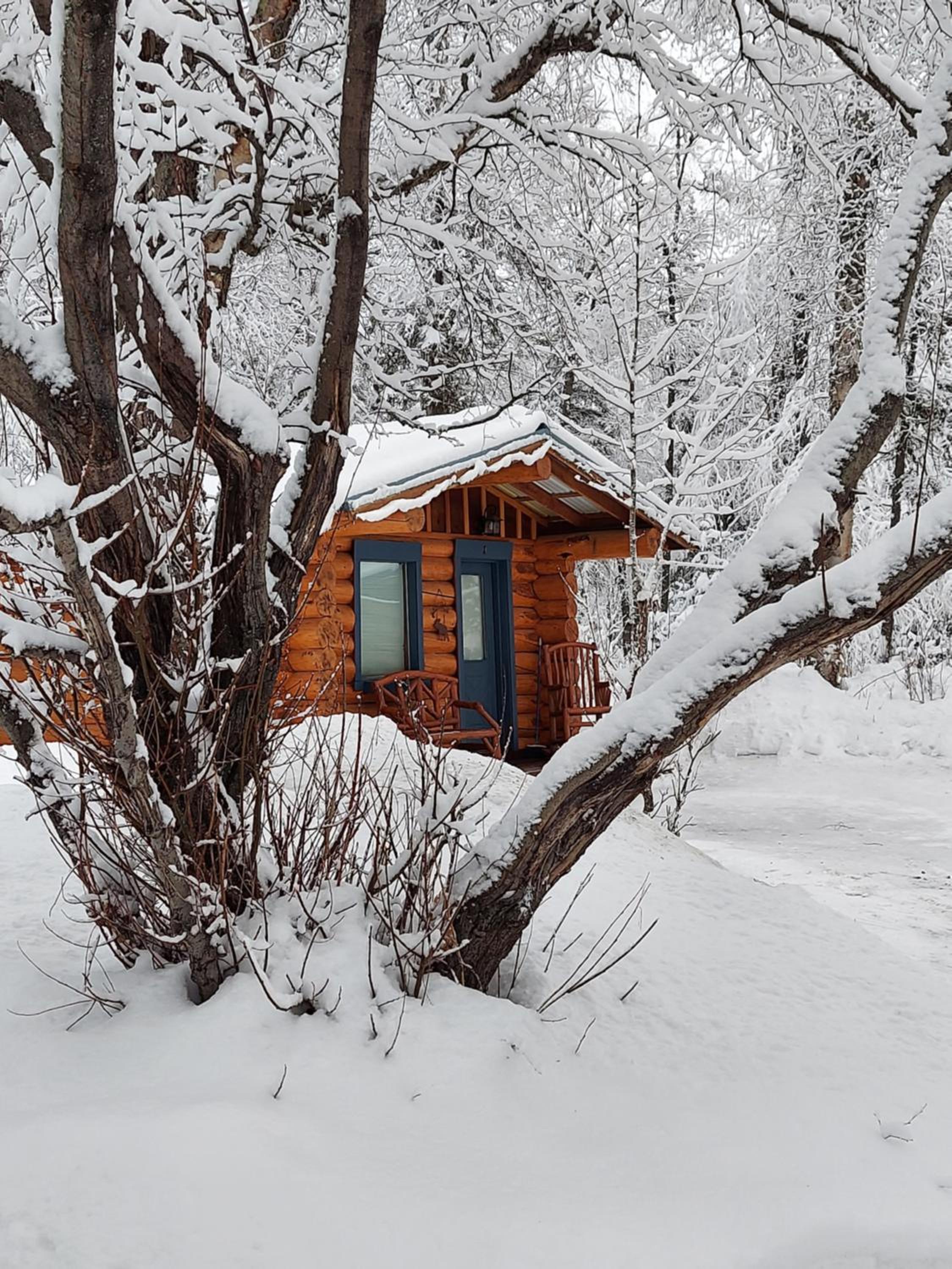 Hatcher Pass Cabins view 4