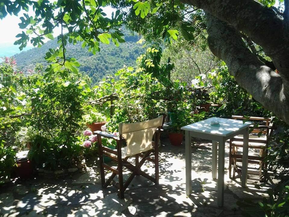 Villa Panayiota view 4