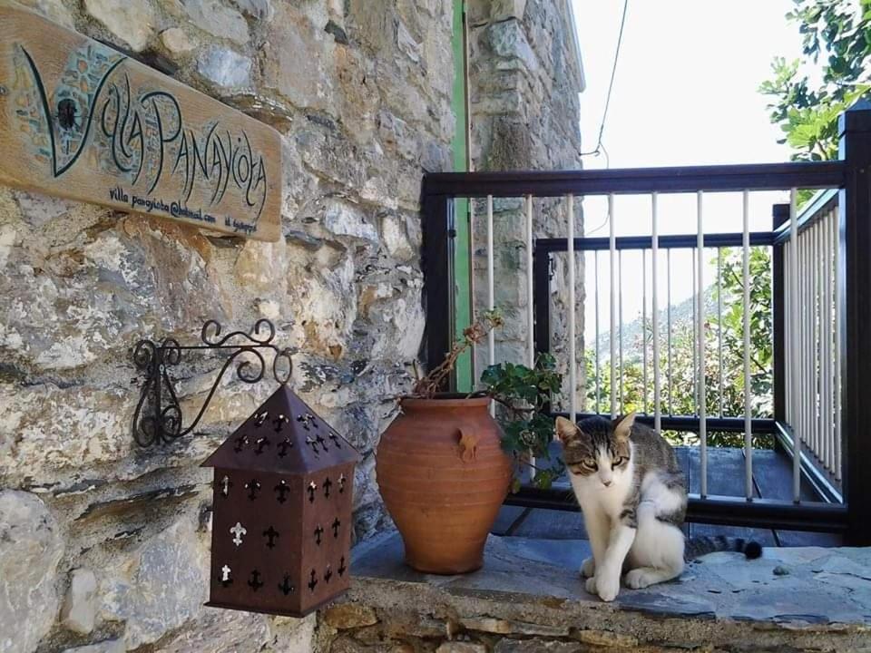 Villa Panayiota view 5