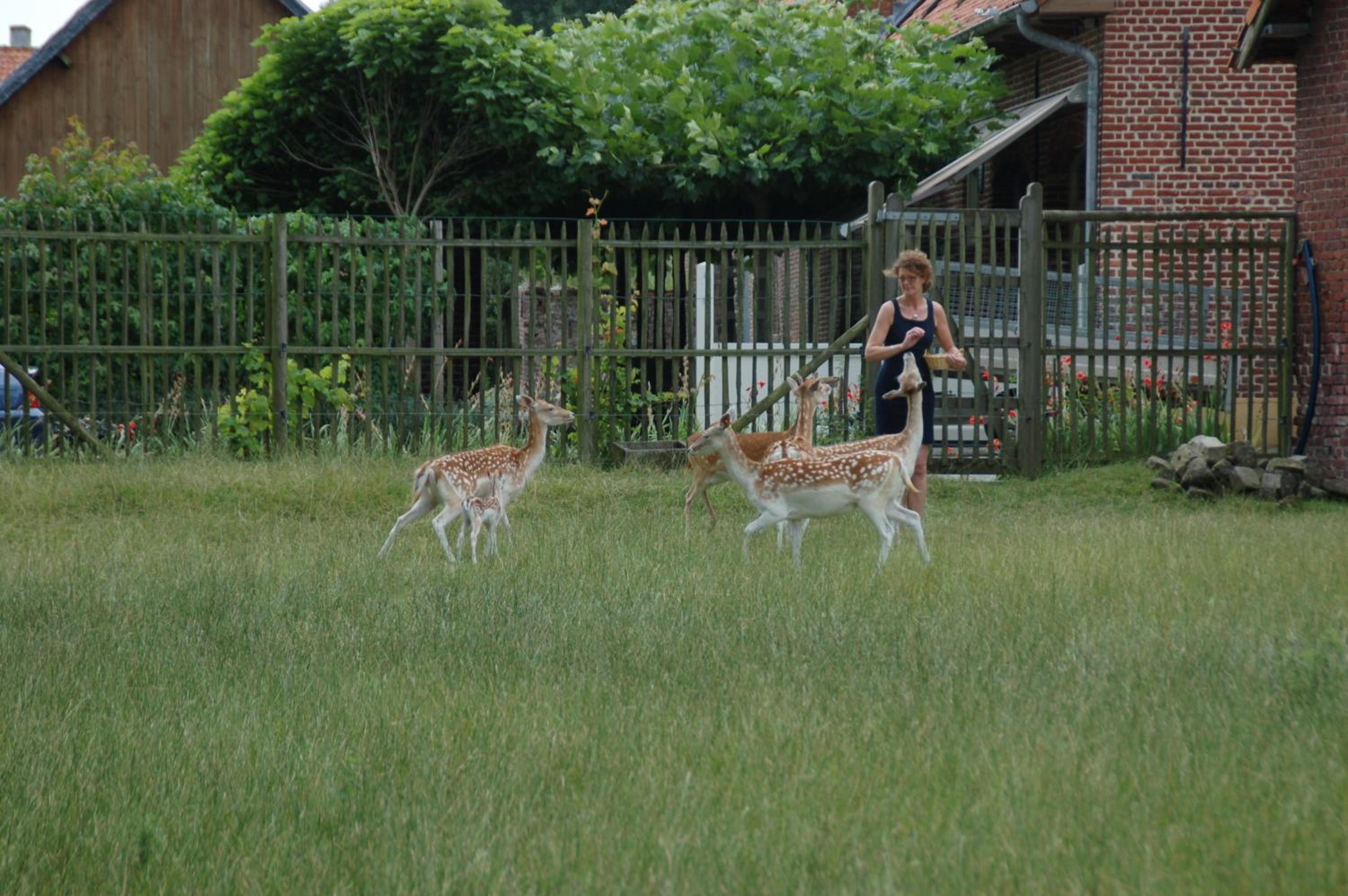 B&B De Rentmeesterhoeve