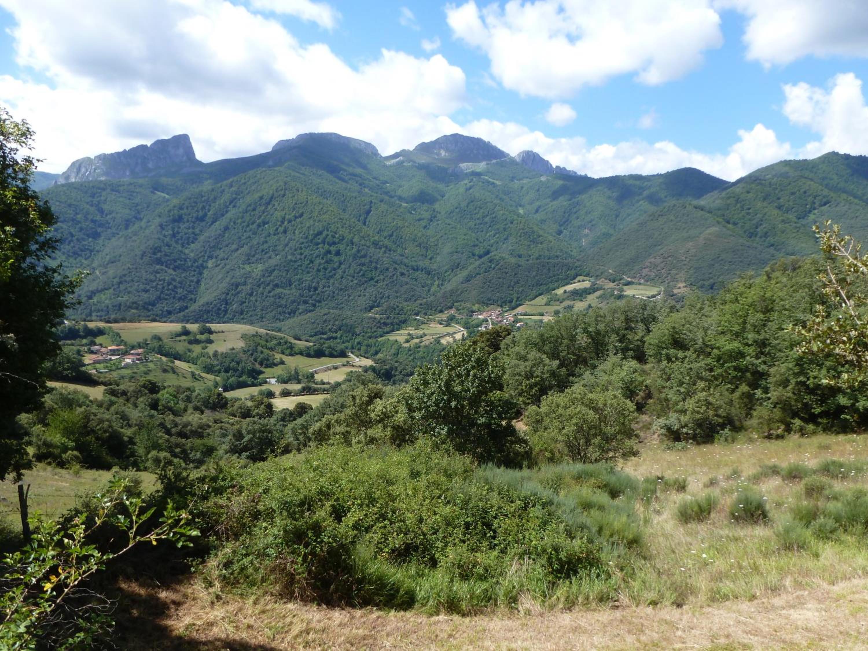 Photo 44