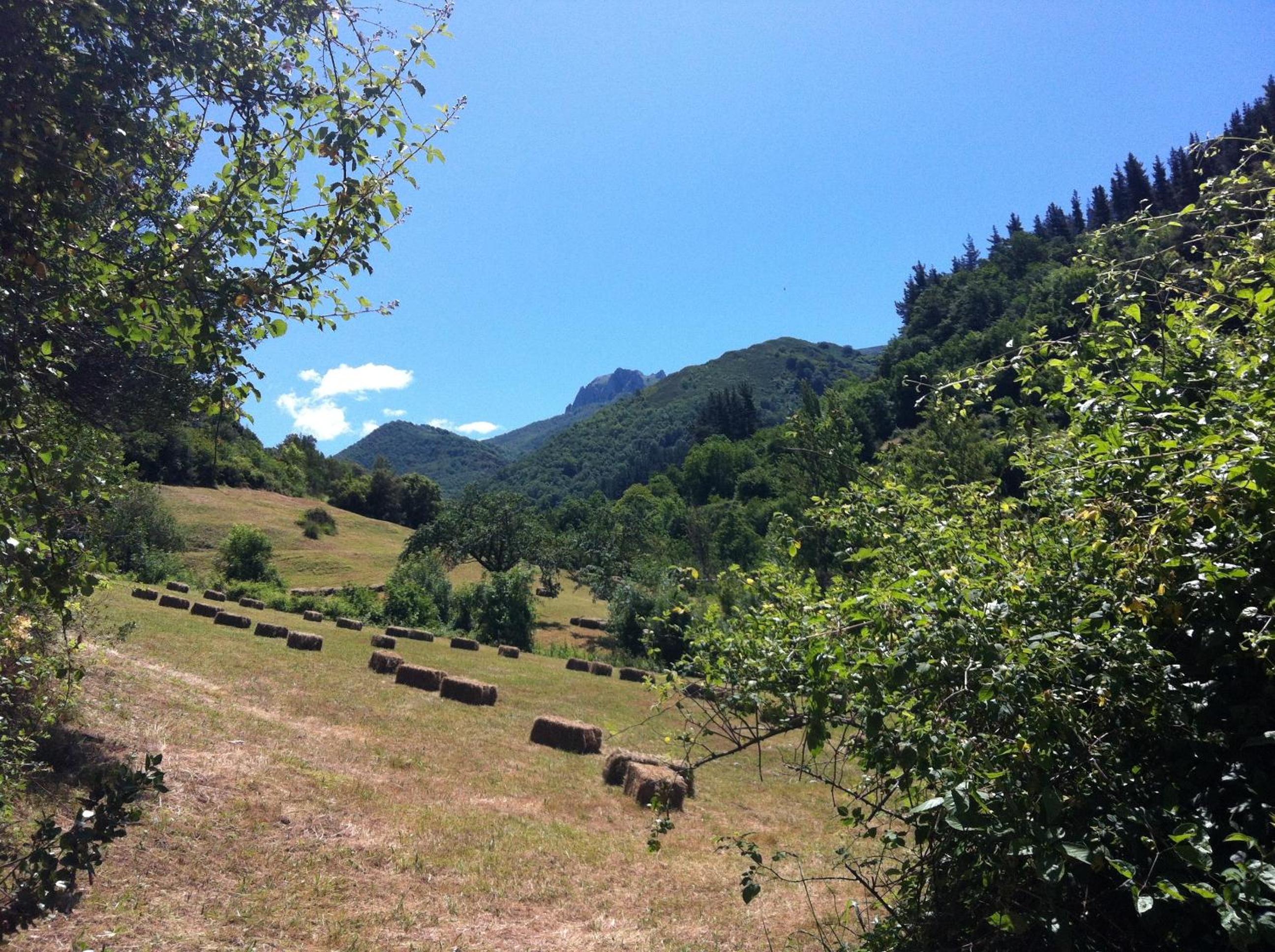 Photo 47
