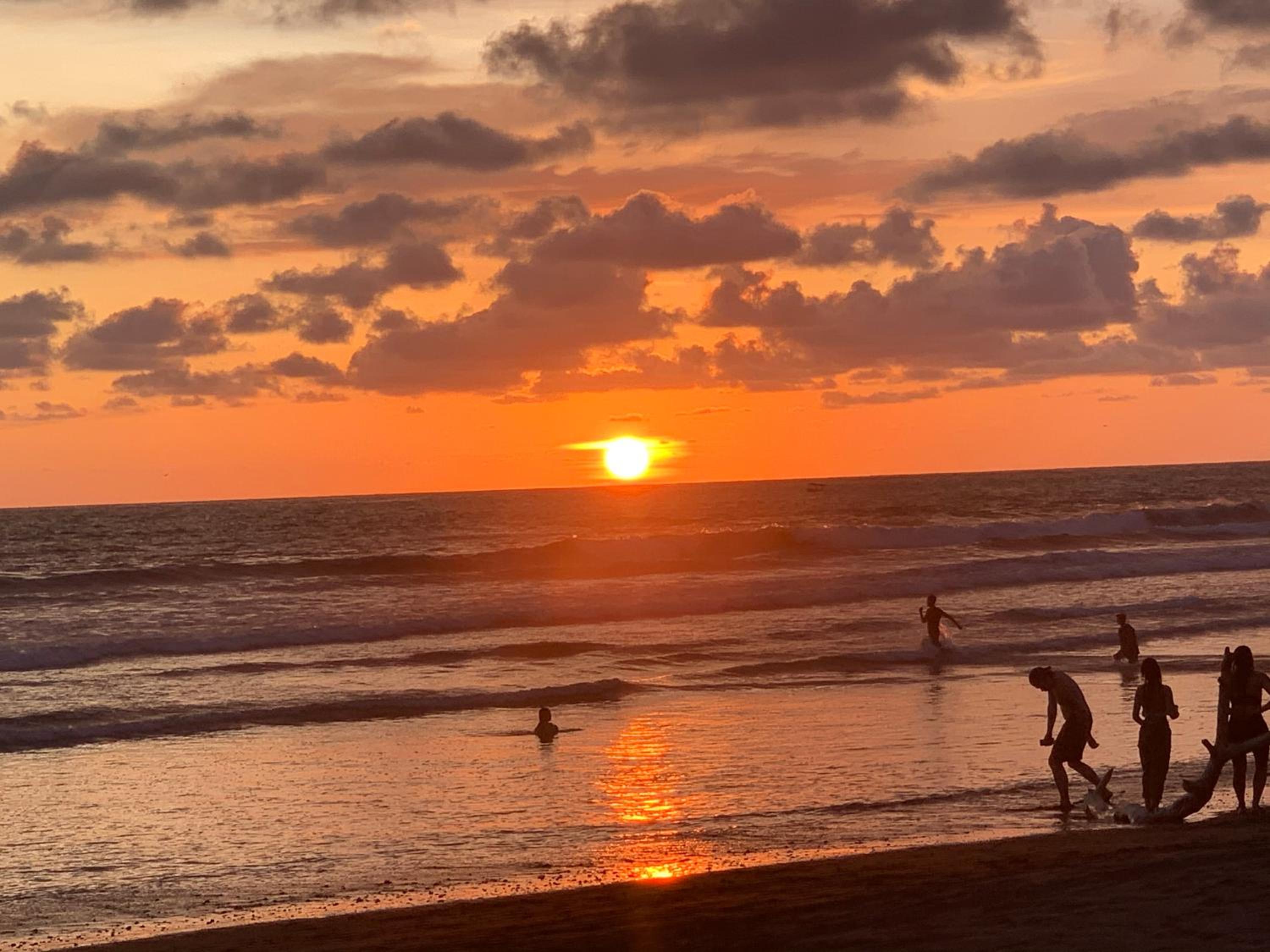 Miguel Surf Camp