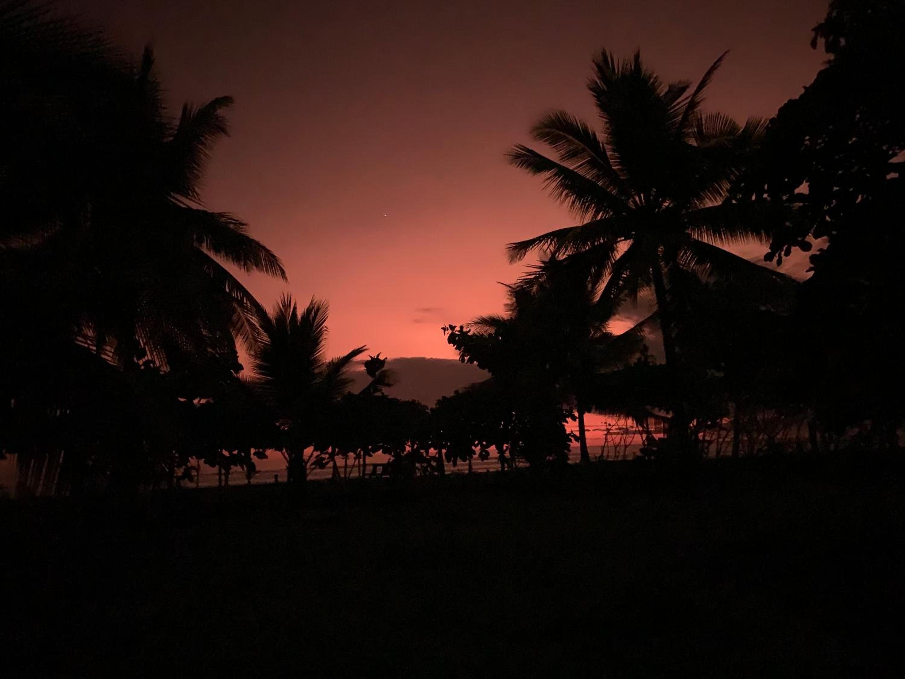Miguel Surf Camp