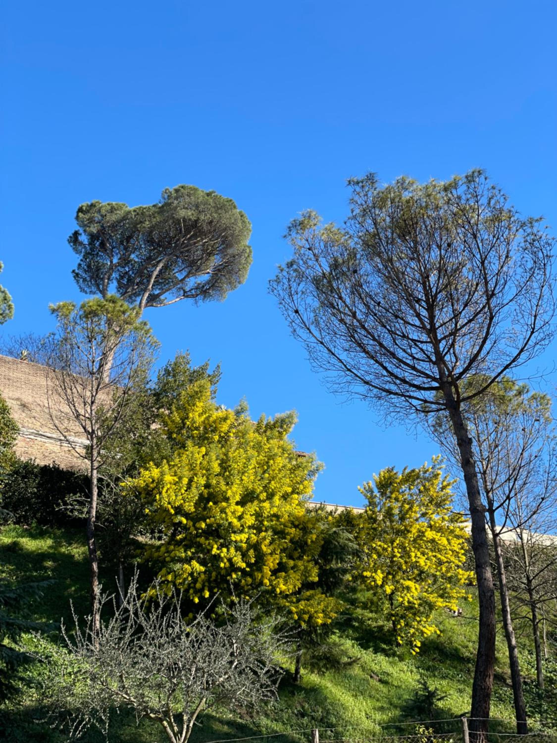 VATICAN GREEN HOLIDAYS HOUSE