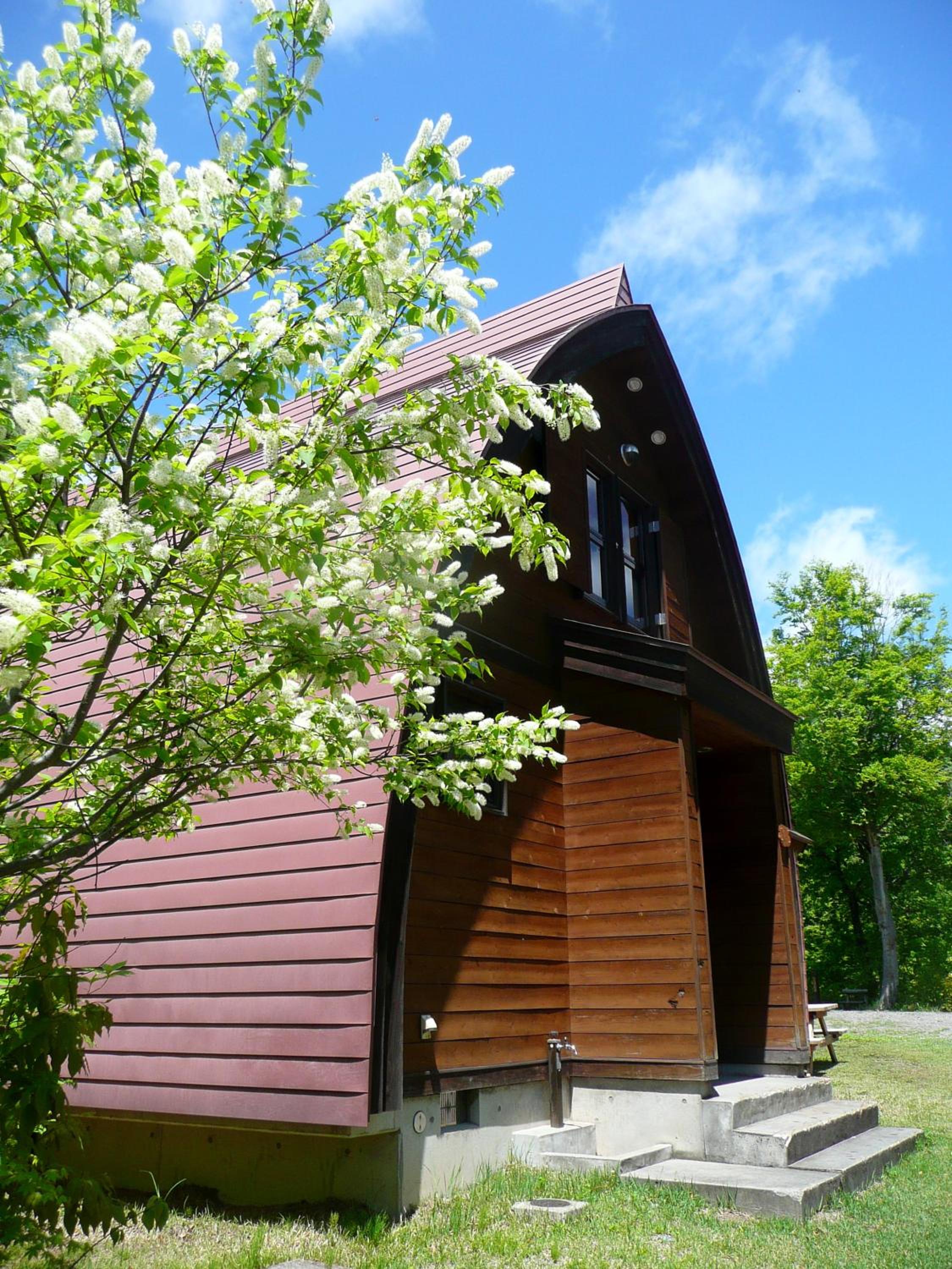 Photo 40