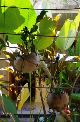 Pondok Mangga view 5