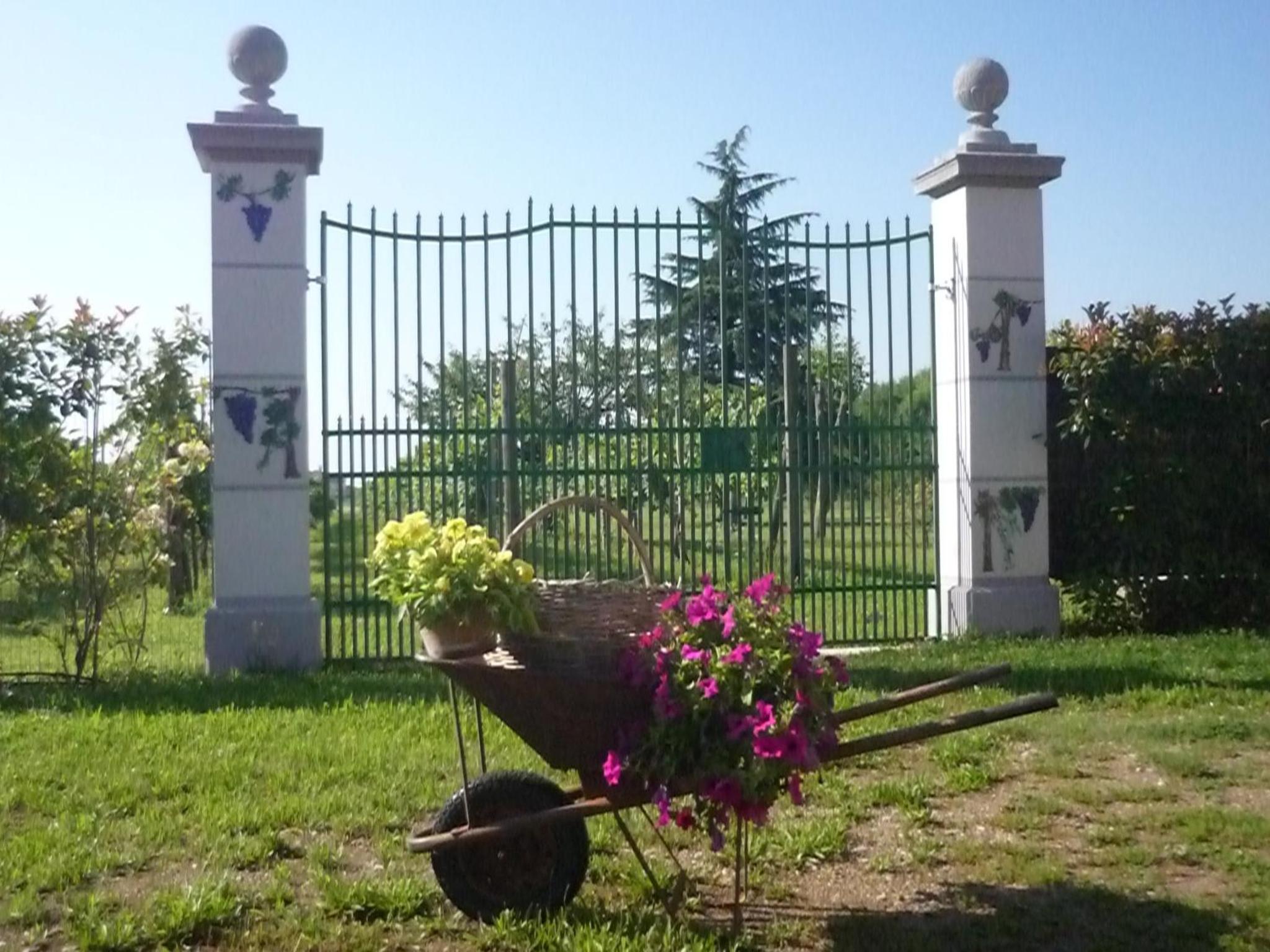 Photo 27