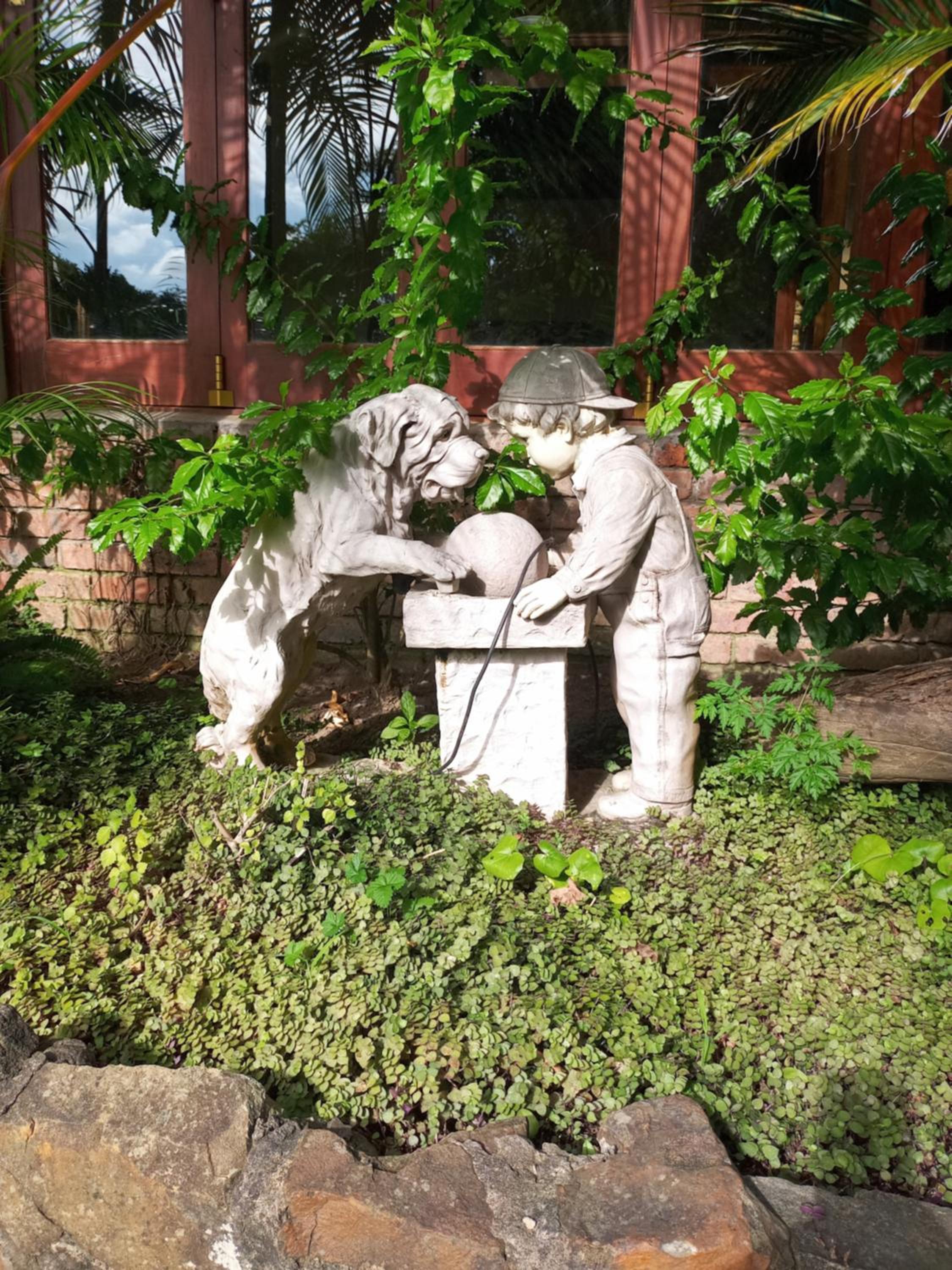 Photo 15