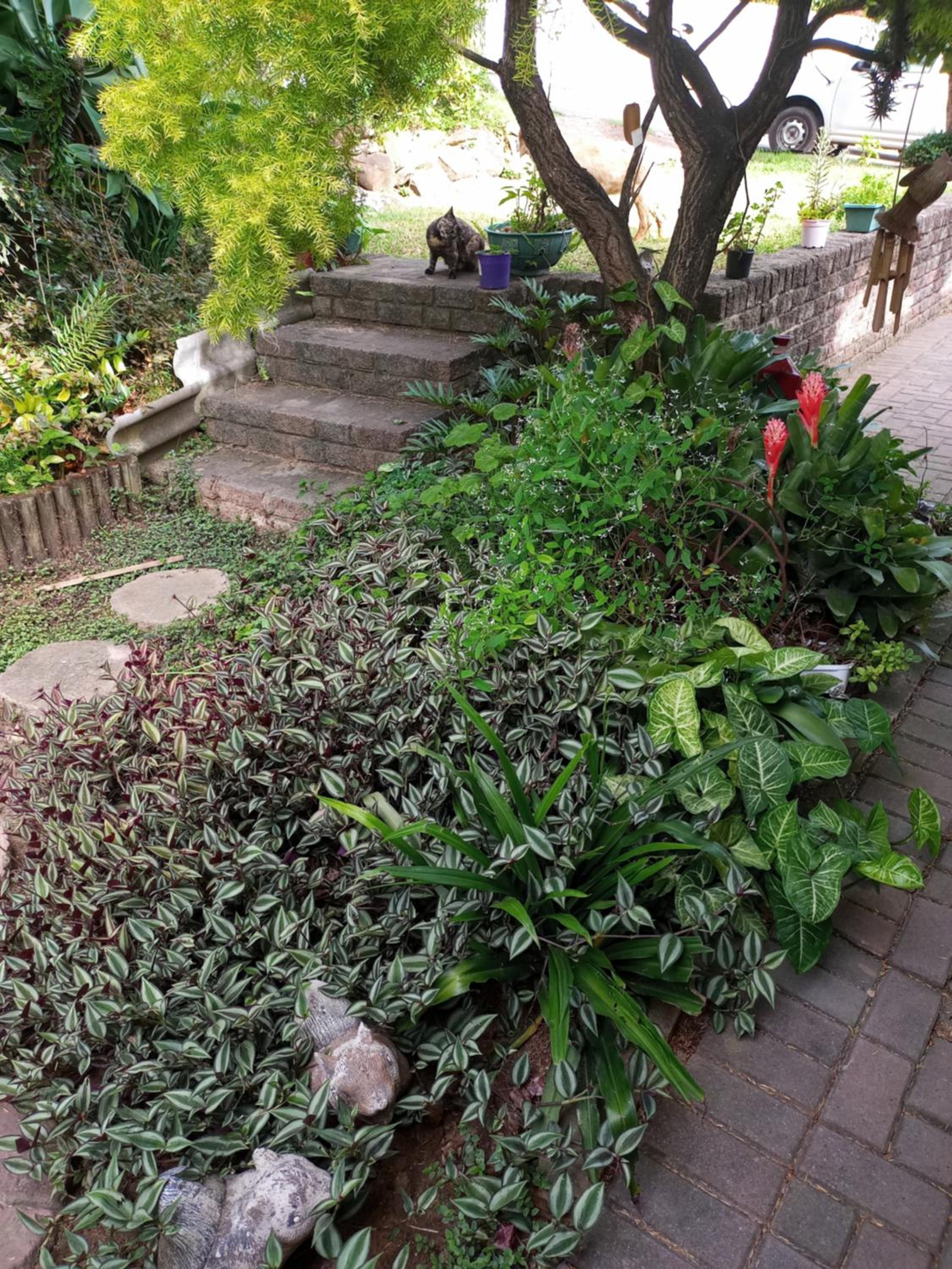 Photo 25