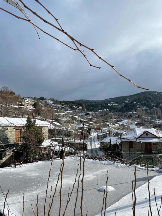 Holiday House Prodromos