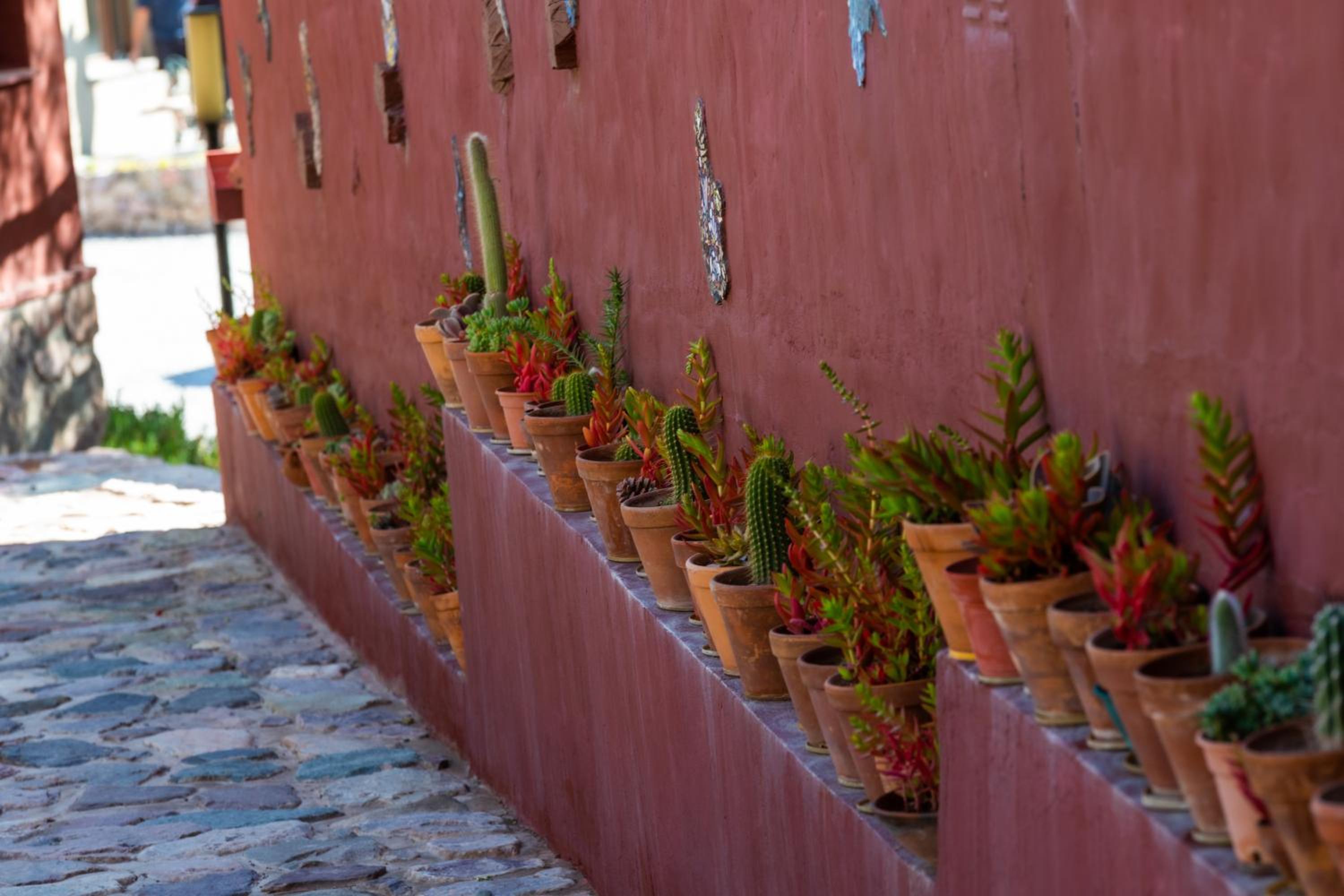 Ecohotel Posta de Purmamarca