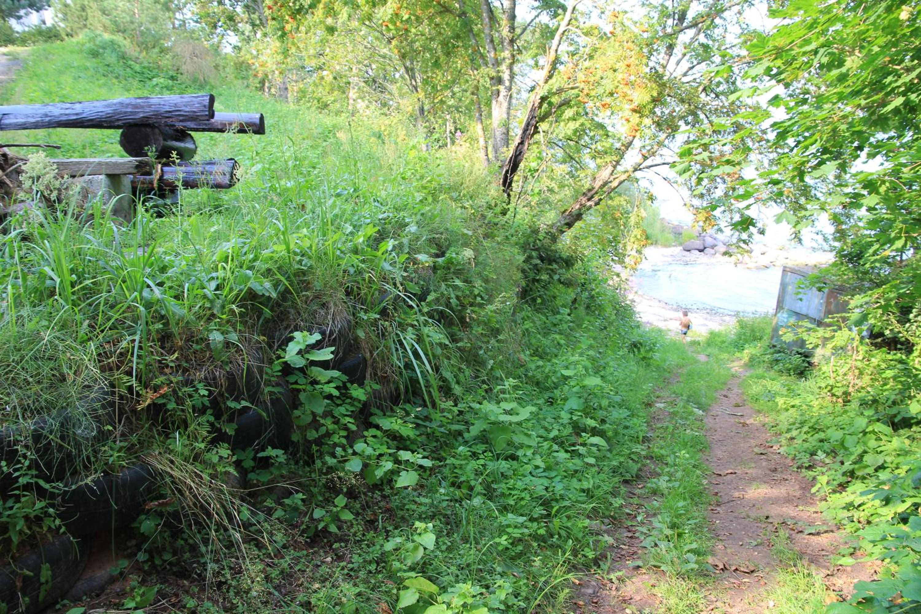 Photo 44