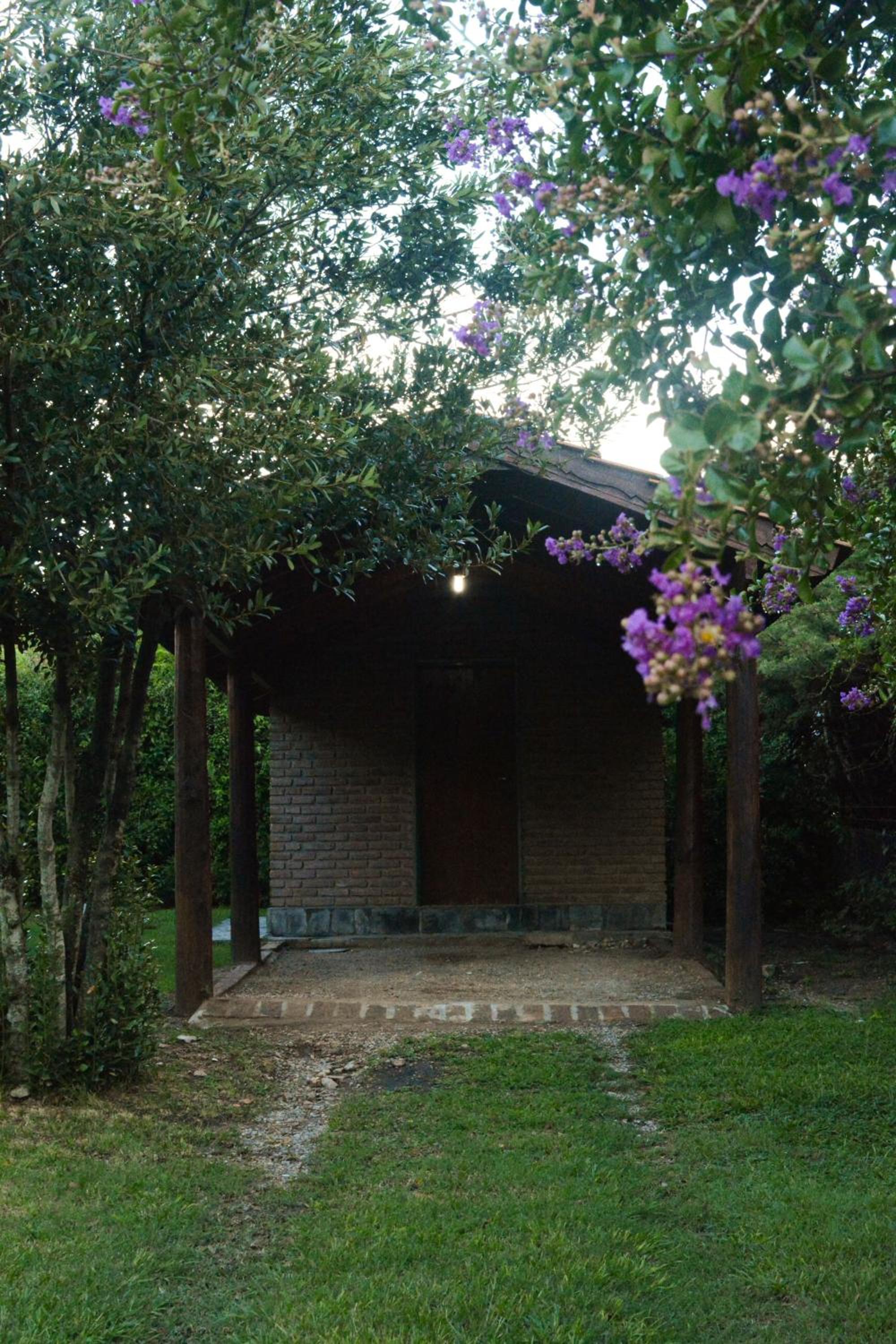 El jagüel