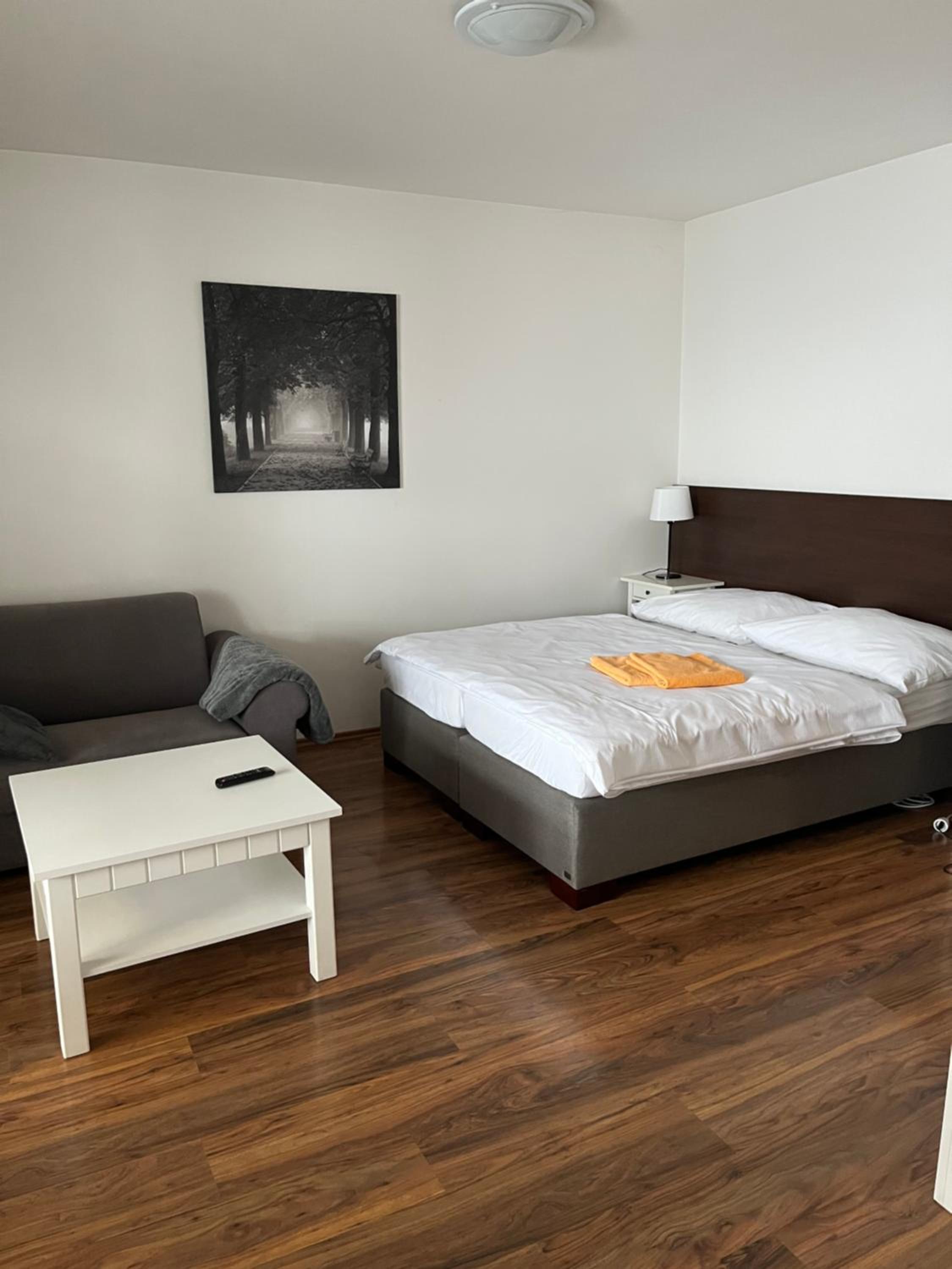 Apartmán Viktória 5 view 5