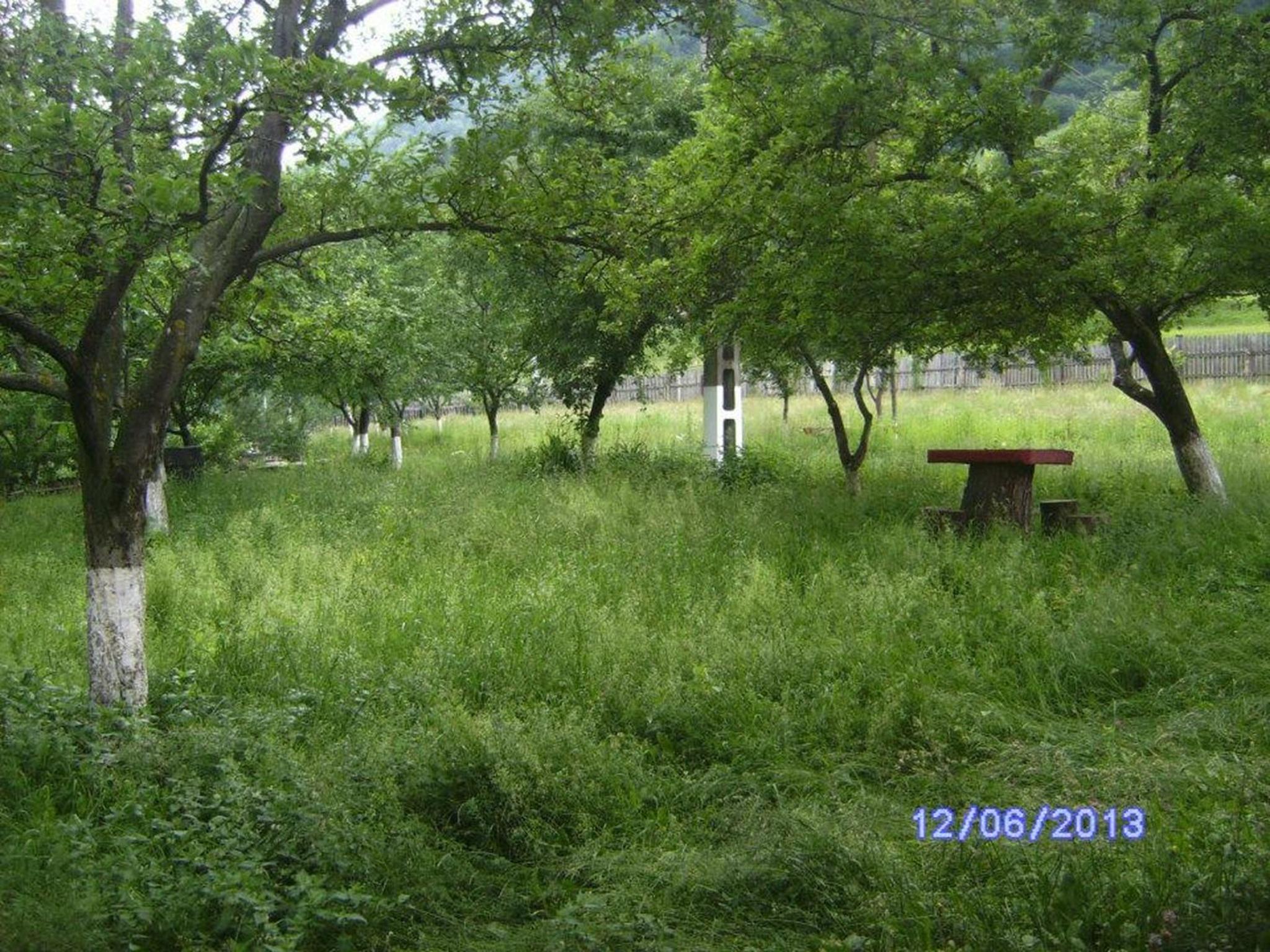 Photo 72