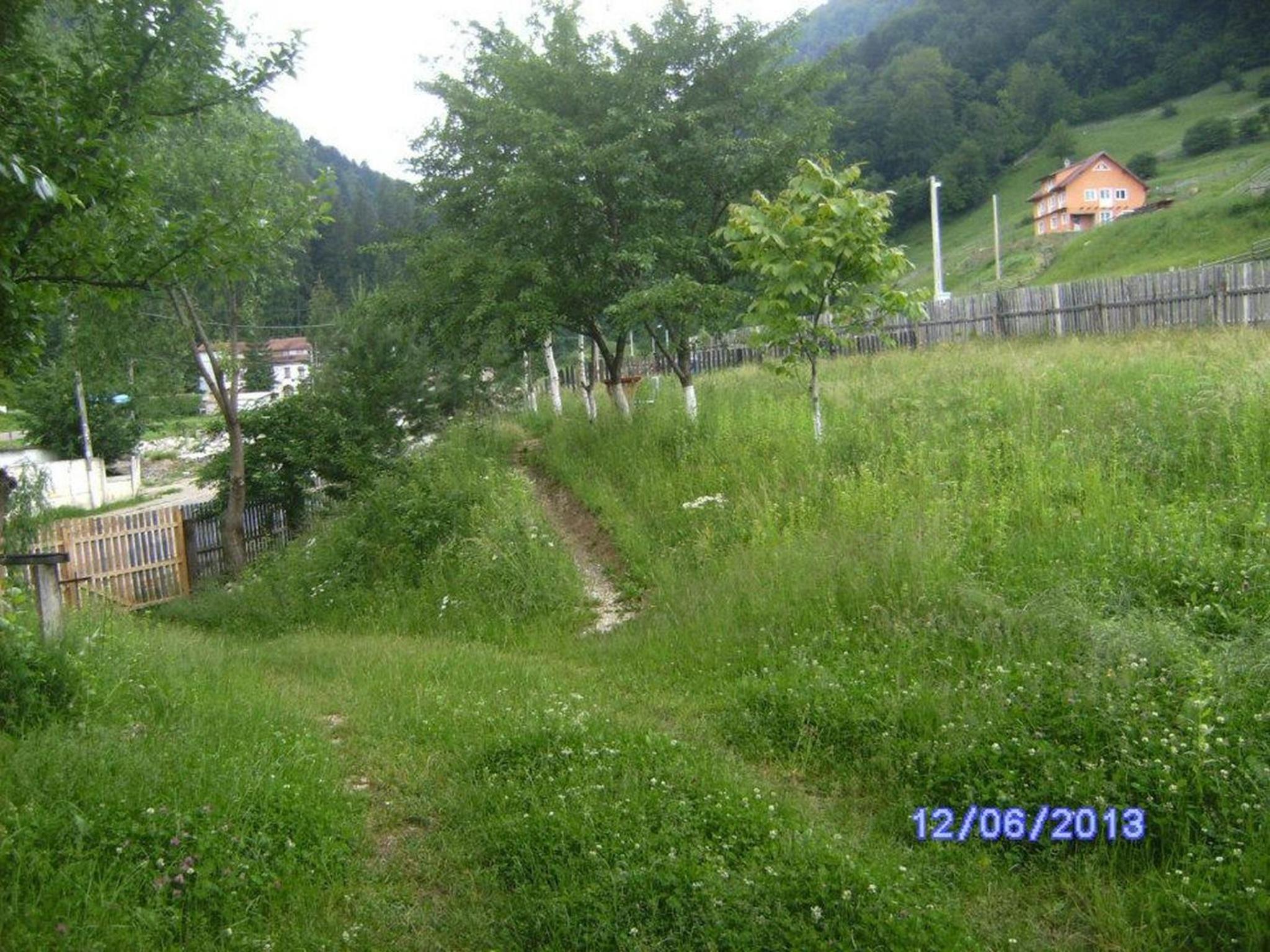 Photo 71