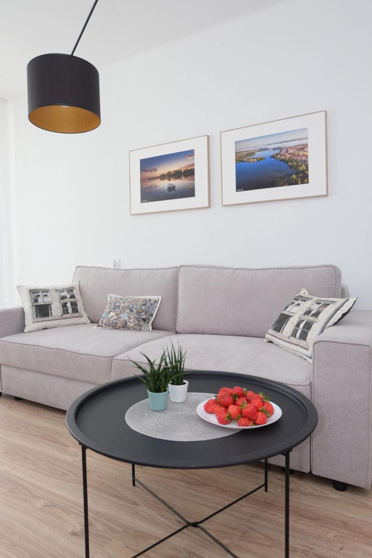 A spacious apartment for holidays and weekends view 5