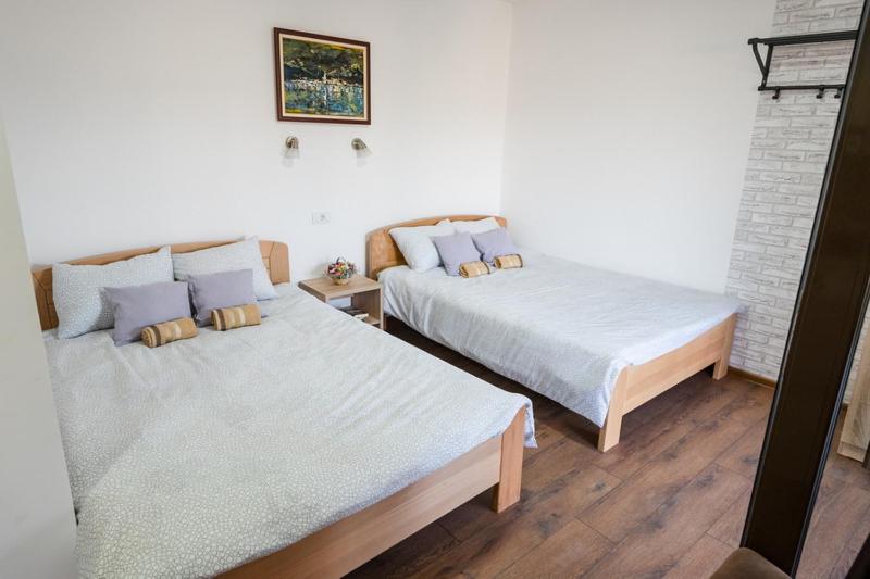 Apartmani Zapis Vrdnik view 2