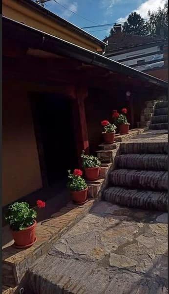 Apartmani Zapis Vrdnik view 5
