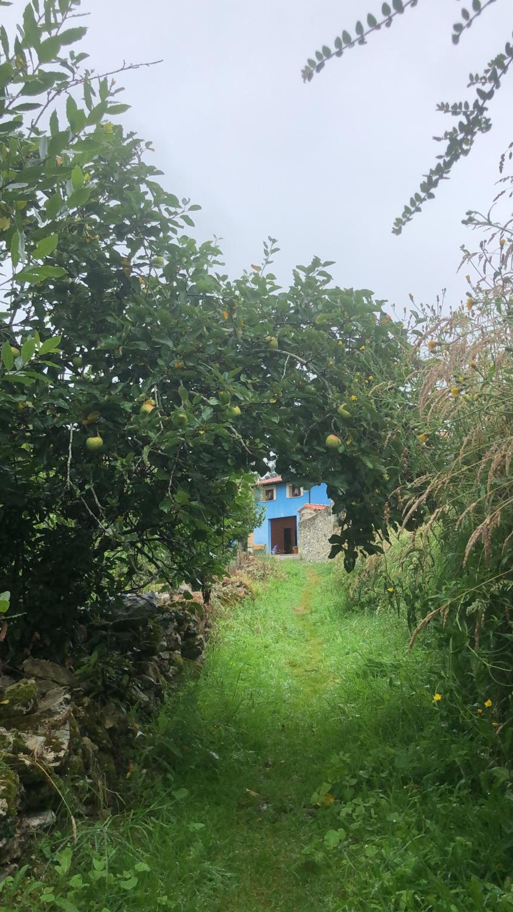 La Galayca