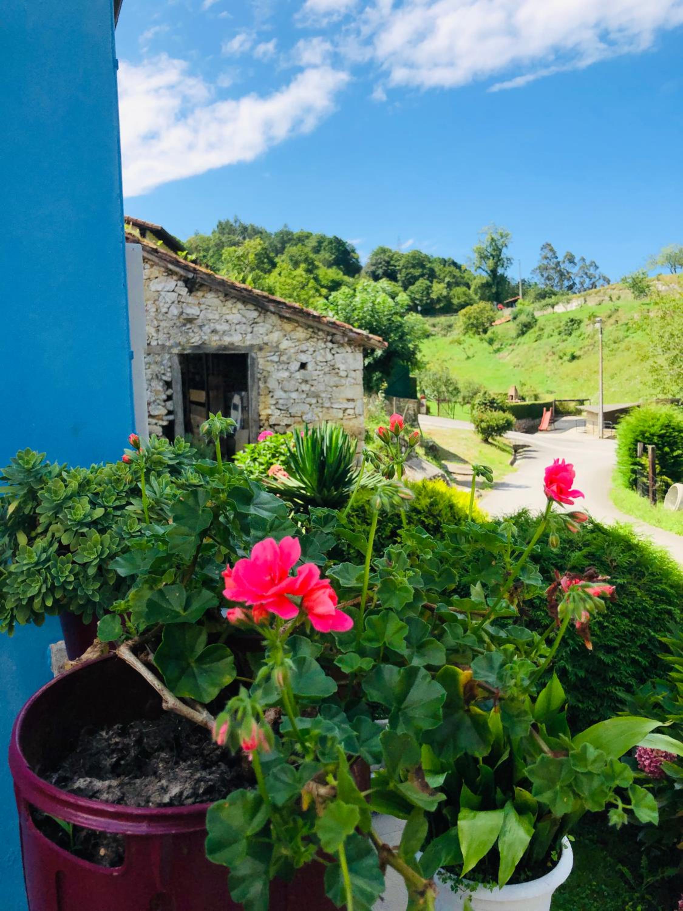 La Galayca