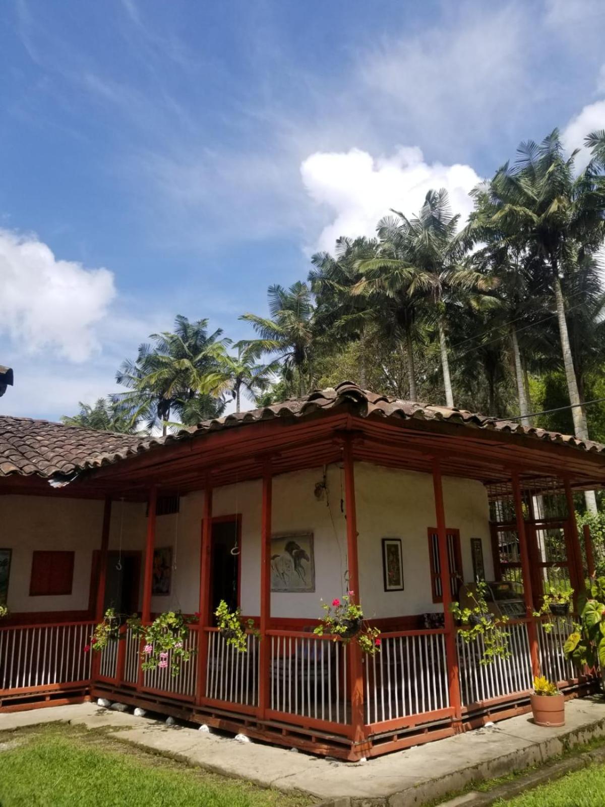 Hostal Rio Arabia - Valle De Cocora HOTEL view 3