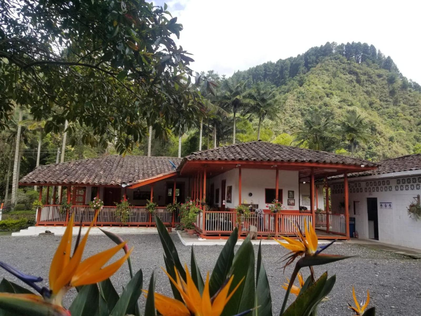 Hostal Rio Arabia - Valle De Cocora HOTEL view 2