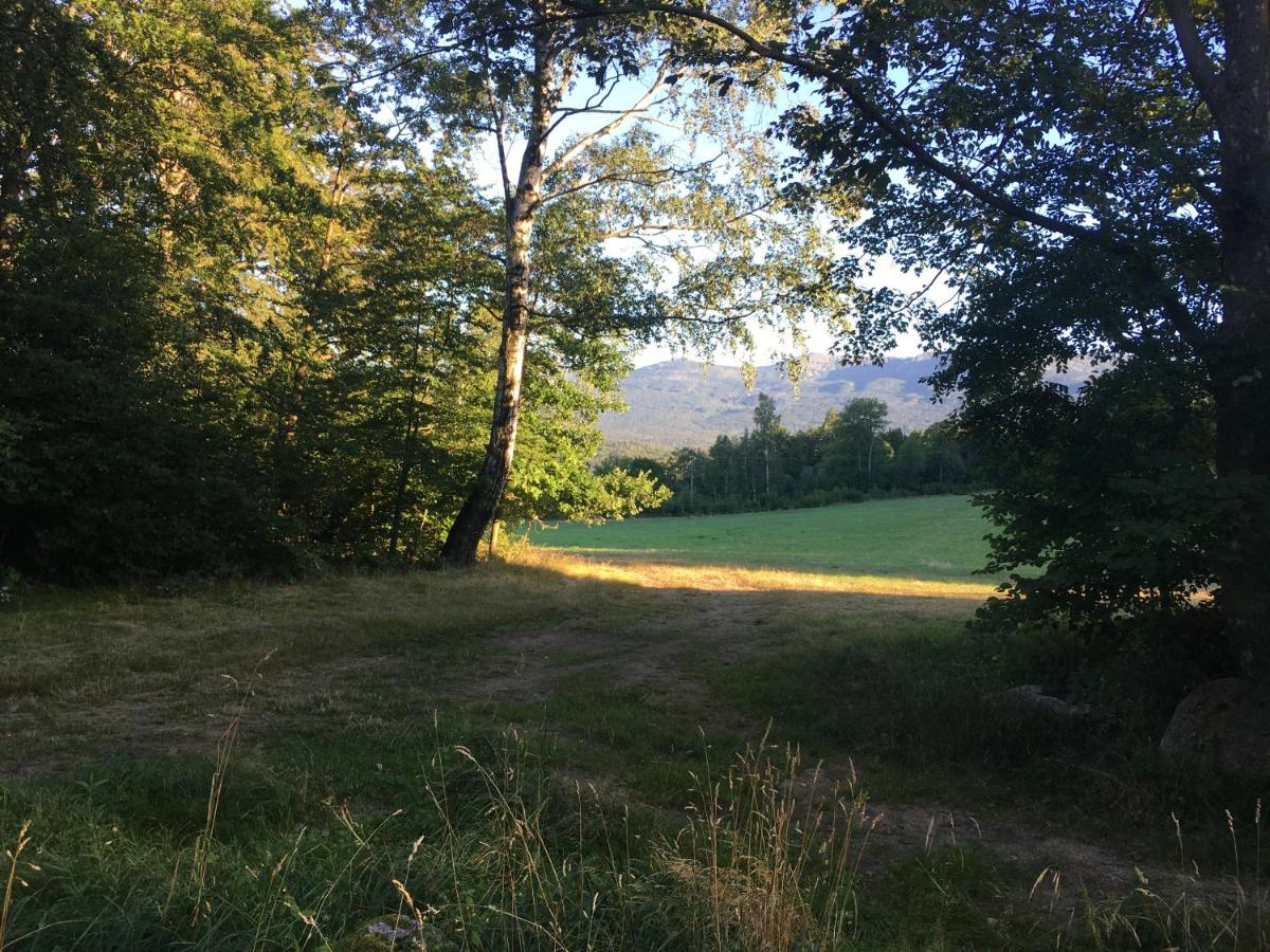 SZKLARKA view 3