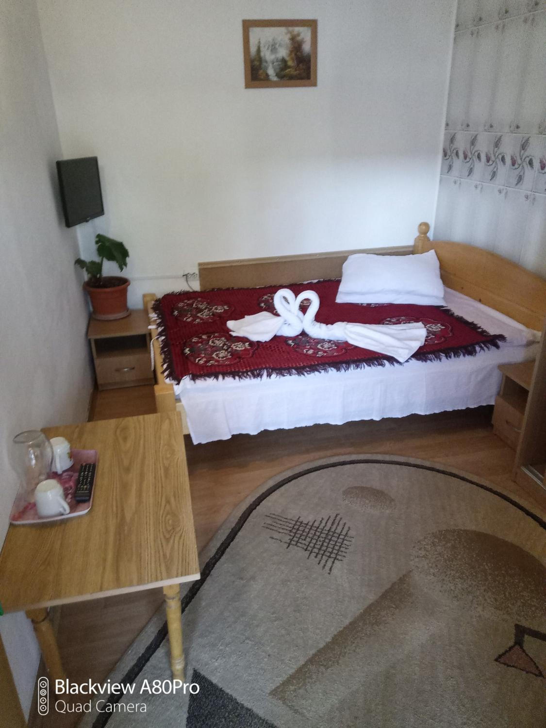 Pensiunea Irina 1 si 2