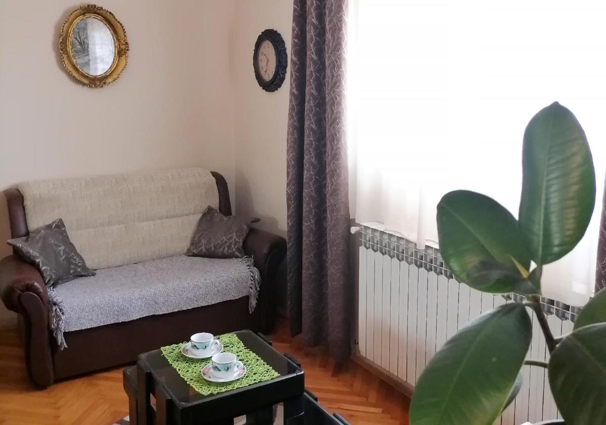 Apartman Arsic 3 view 3