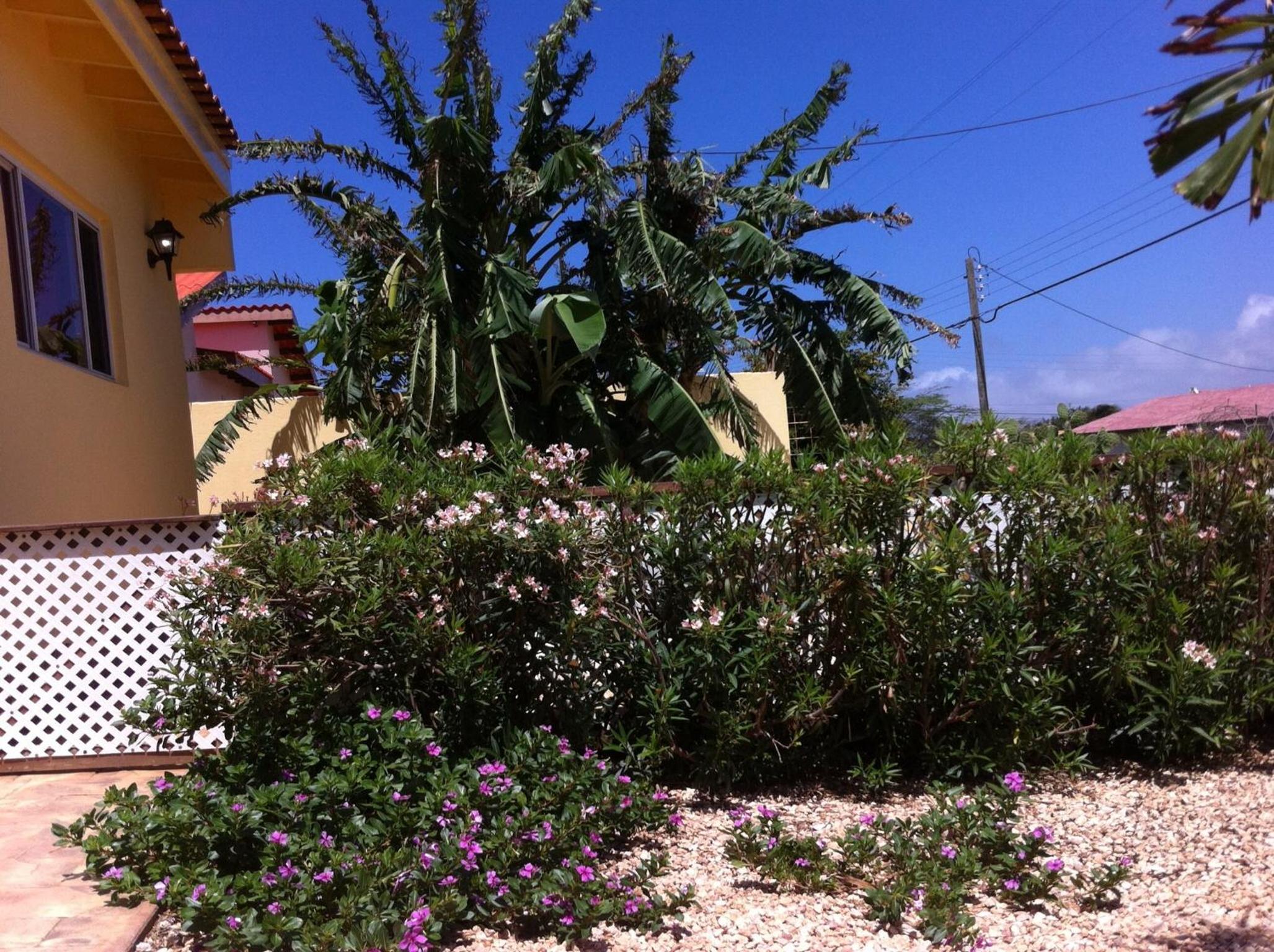 Alta Montaña