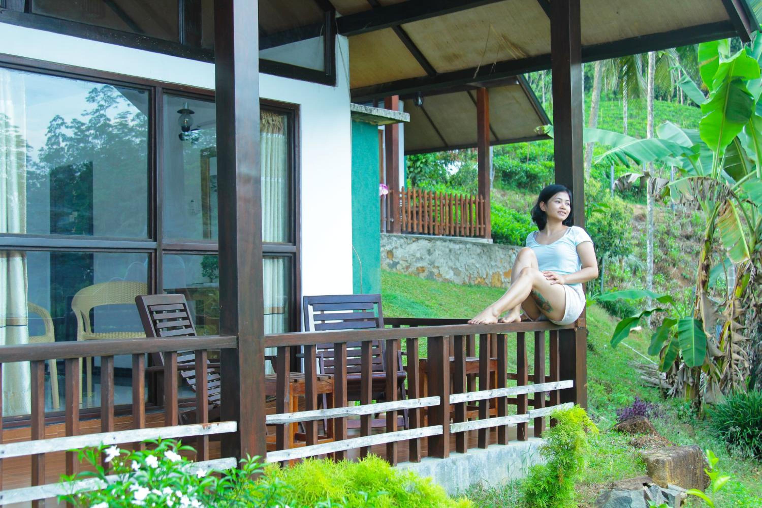 Rainforest Mount Lodge