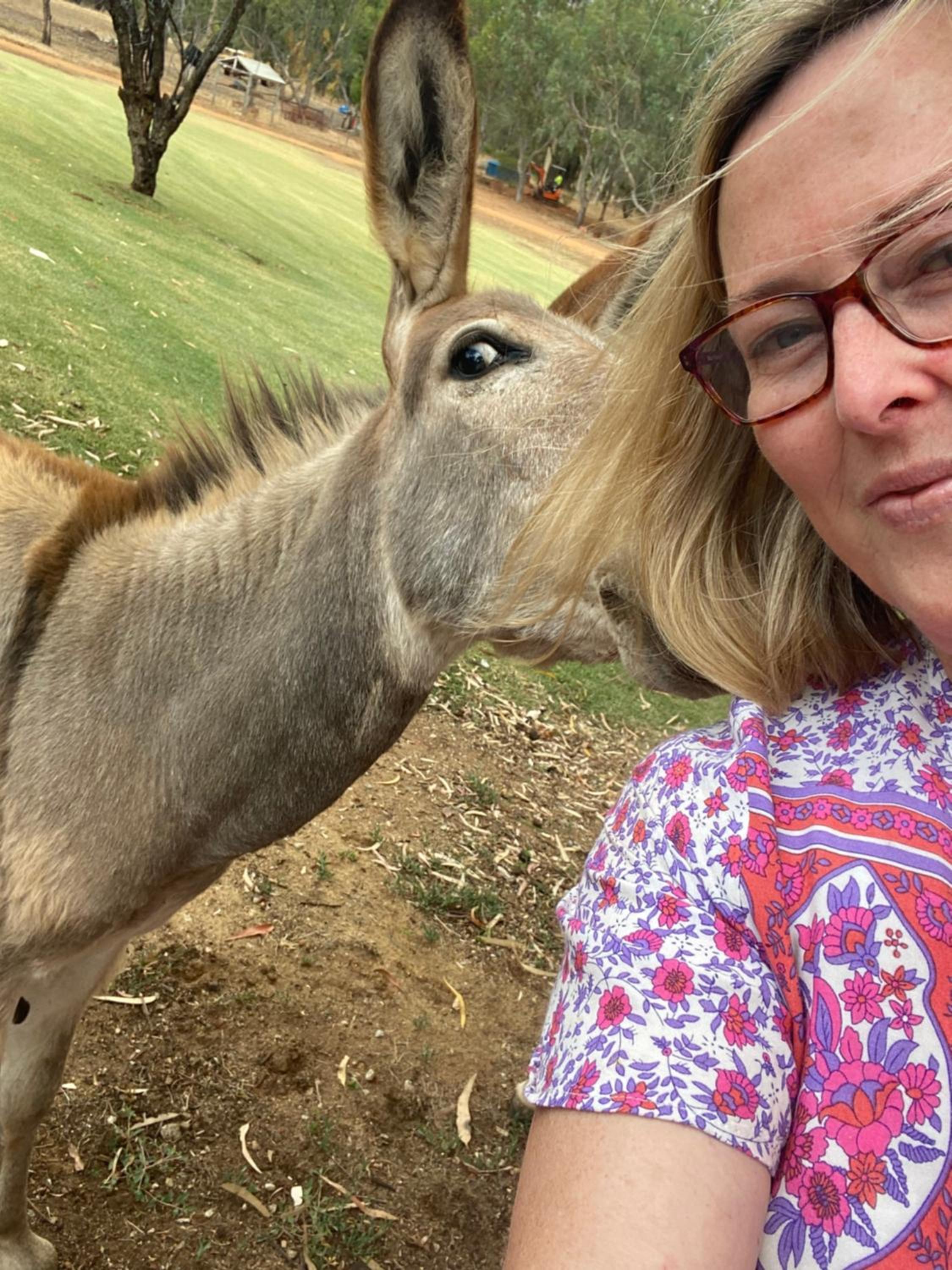 Sandalwood Downs Fabulous Farm Stay TOODYAY