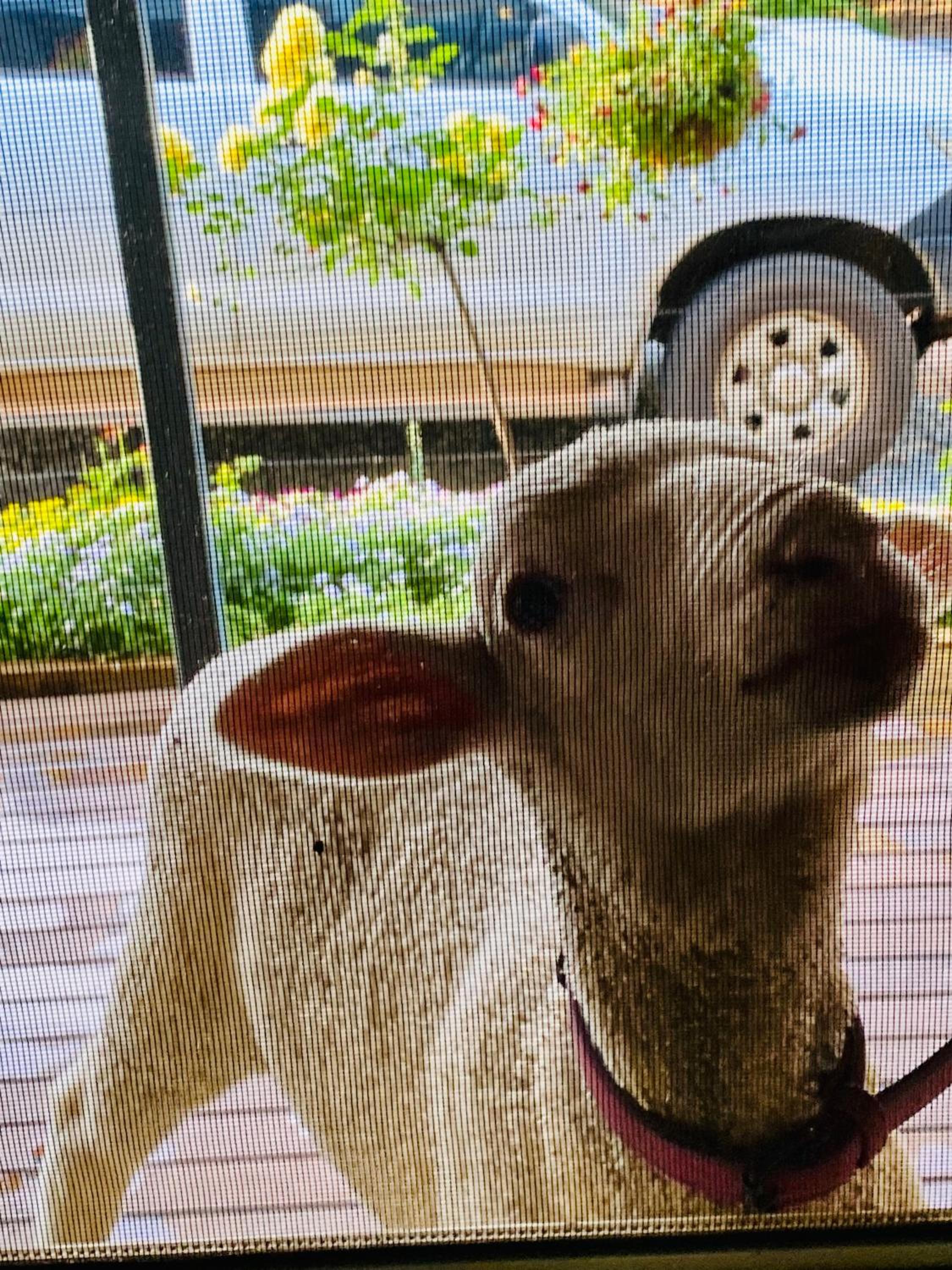 Sandalwood Downs Fabulous Farm Stay TOODYAY