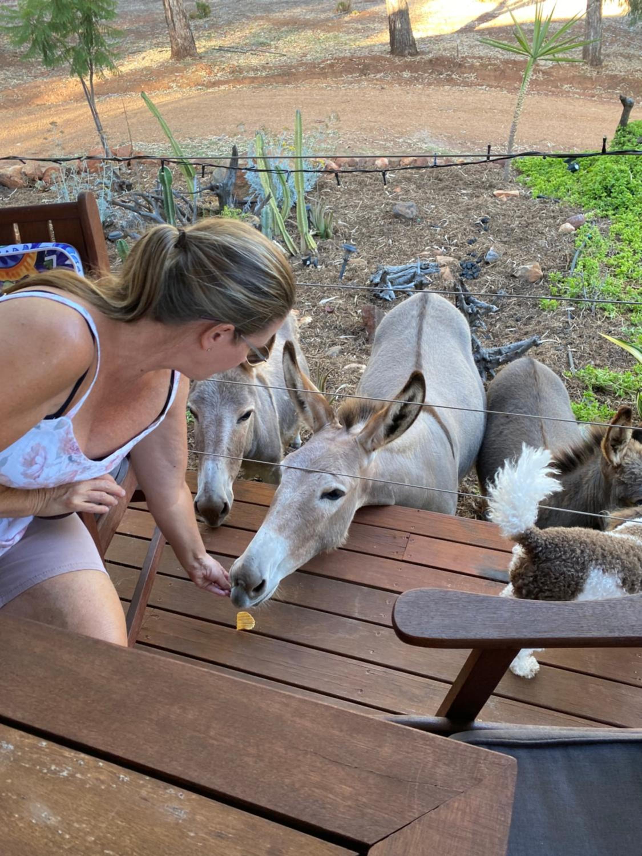 Sandalwood Downs Fabulous Farm Stay TOODYAY