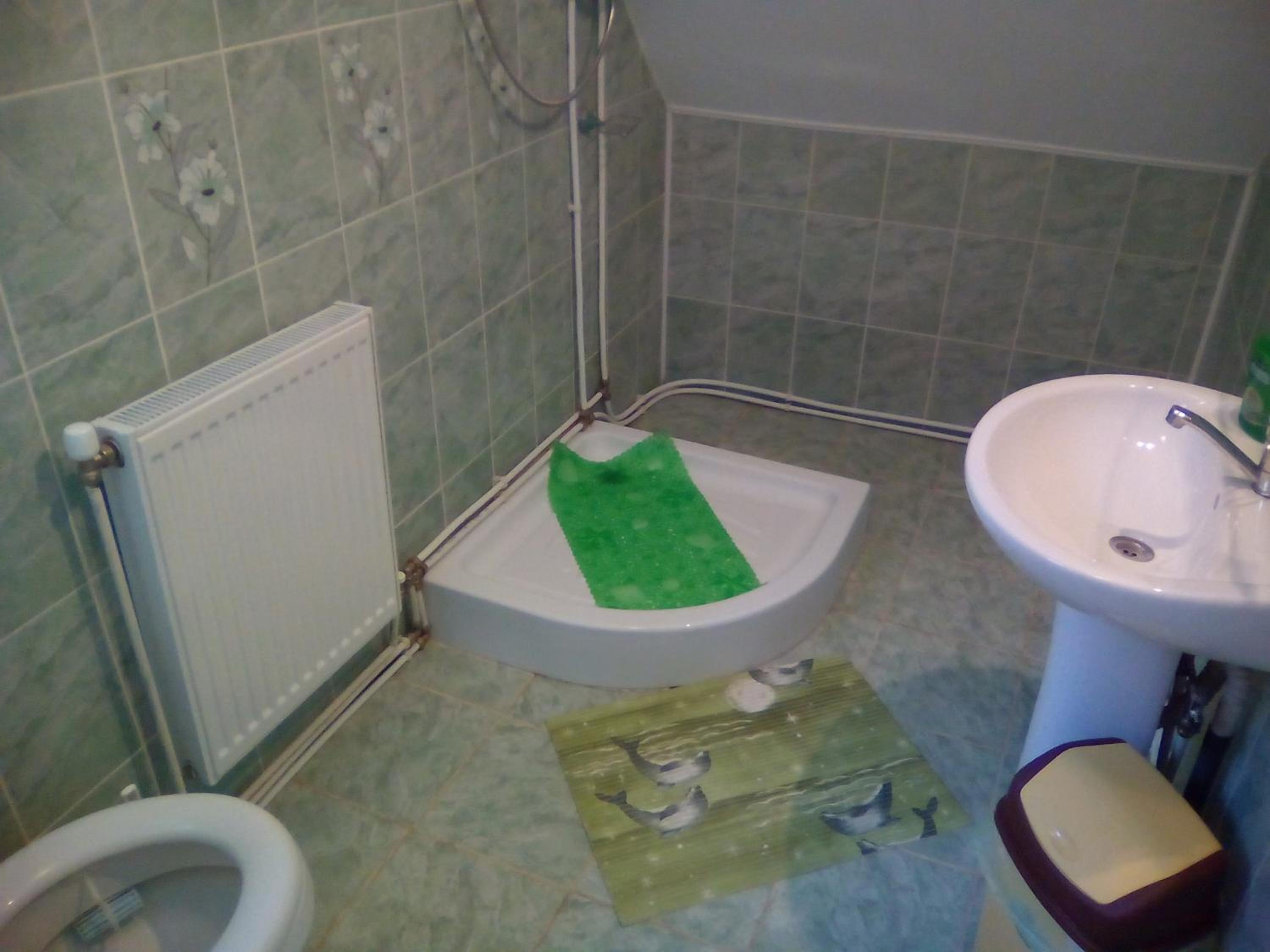 Pensiunea Irina 1 si 2