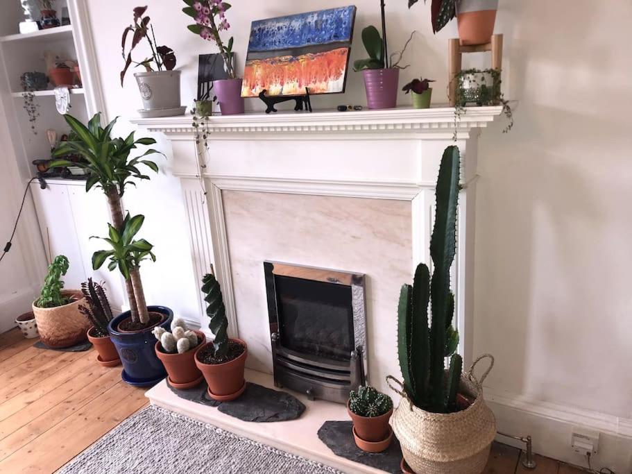 Cosy 2 Bedroom Flat in Edinburgh view 5