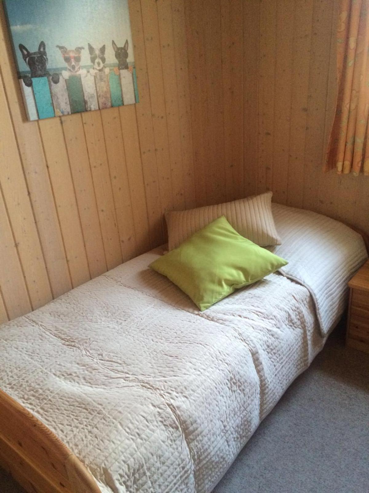 Photo 44