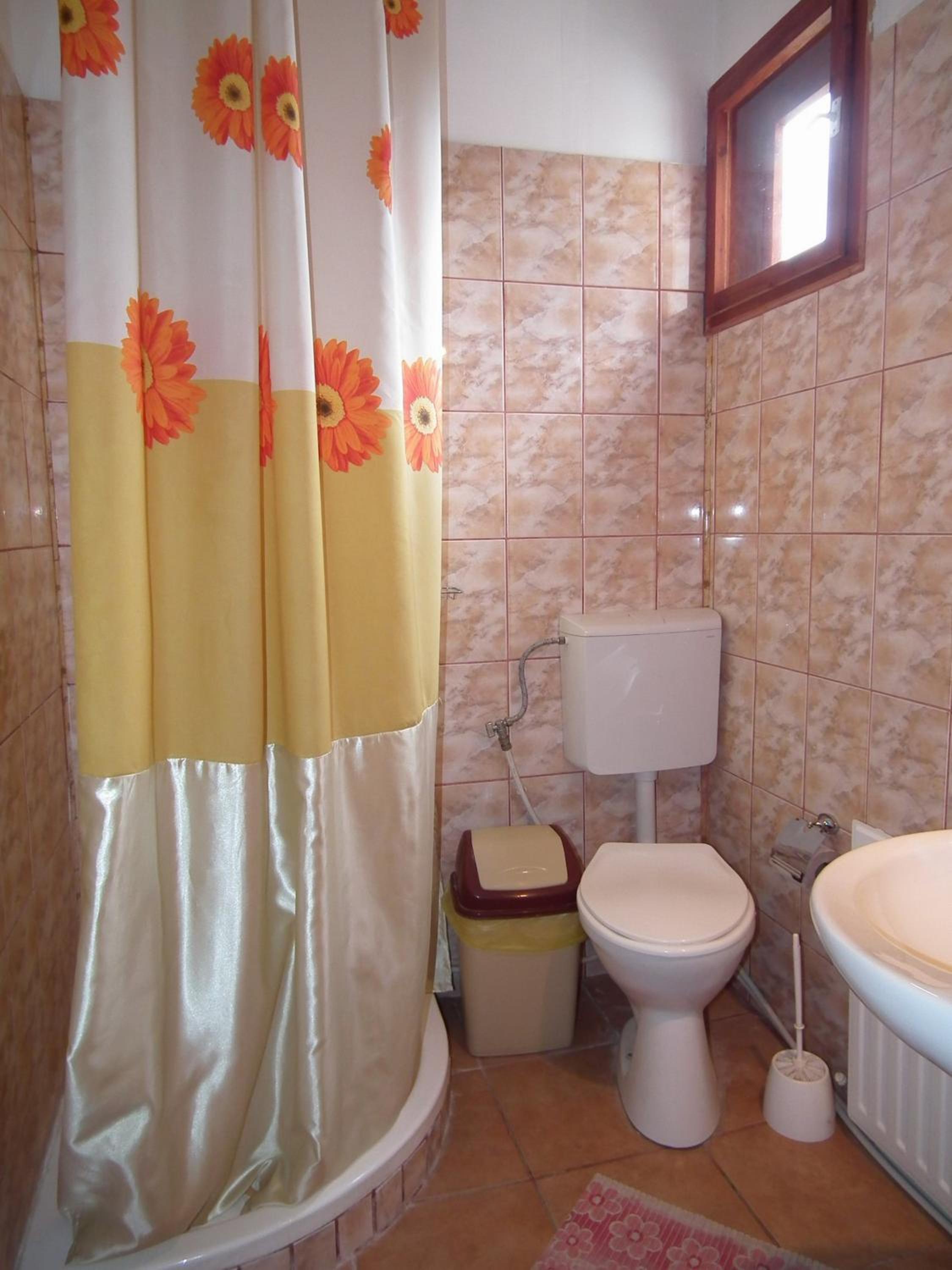 Pensiunea Irina 1 si 2