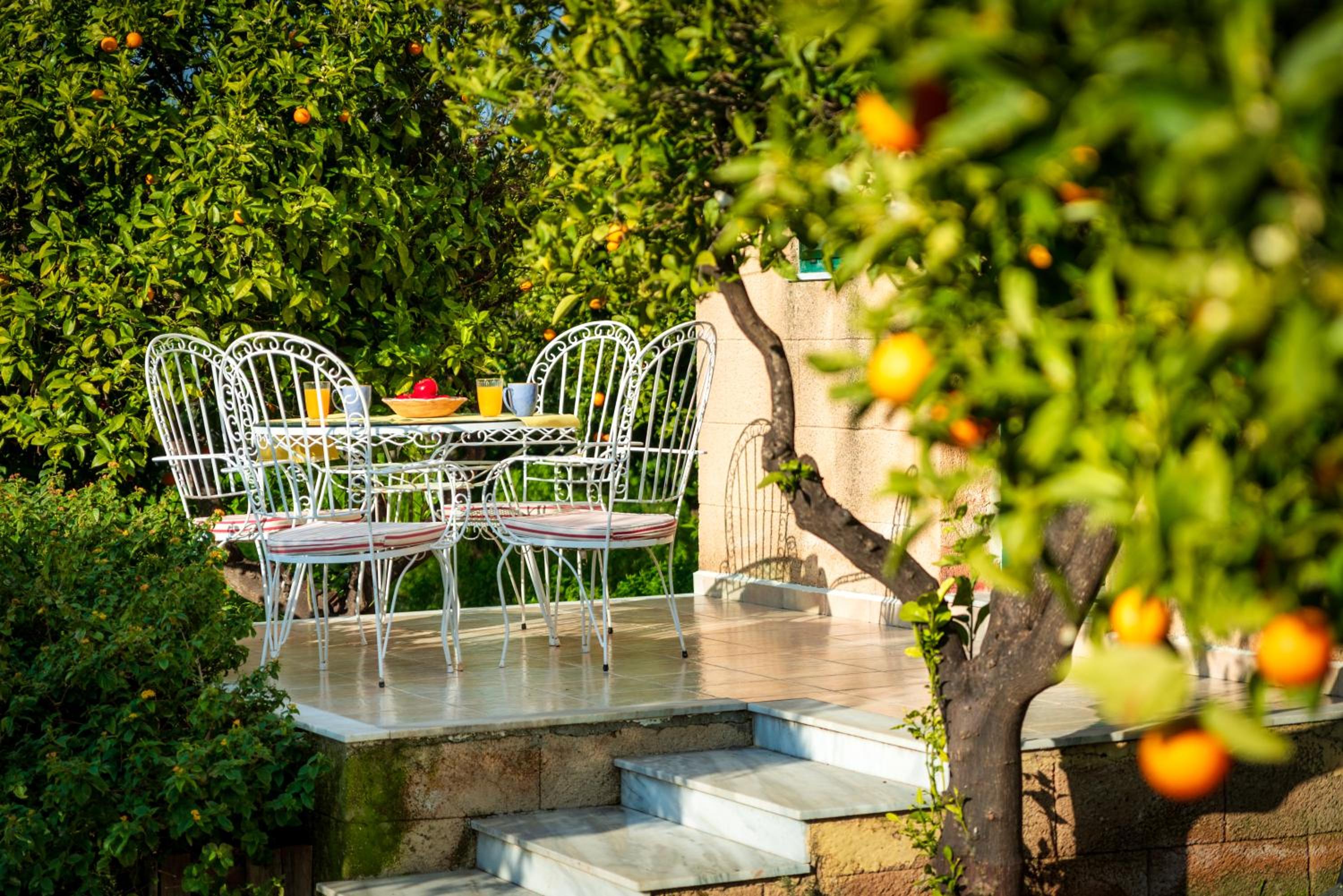 The Tower with the Orange tree garden view 2