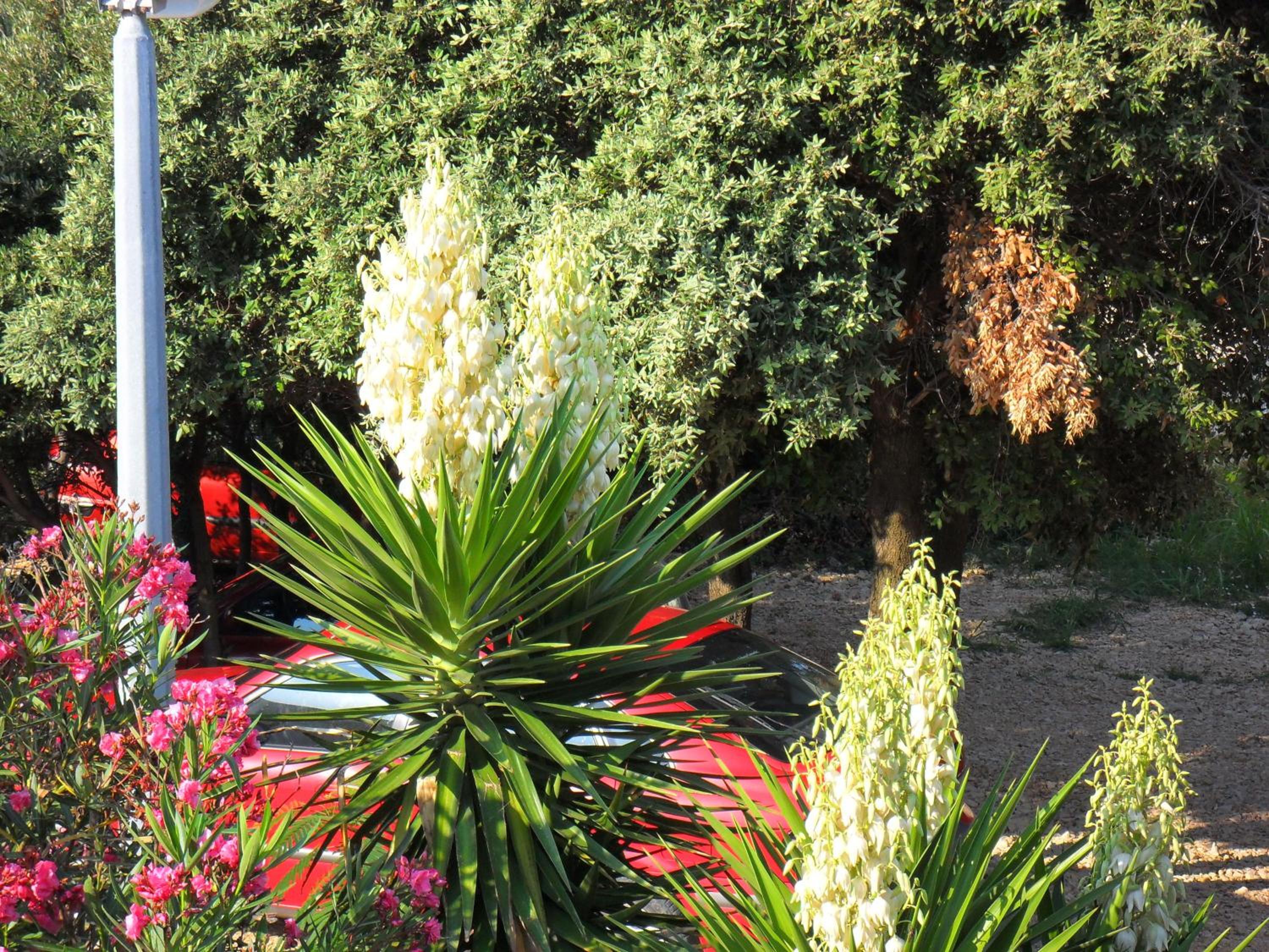 Photo 40