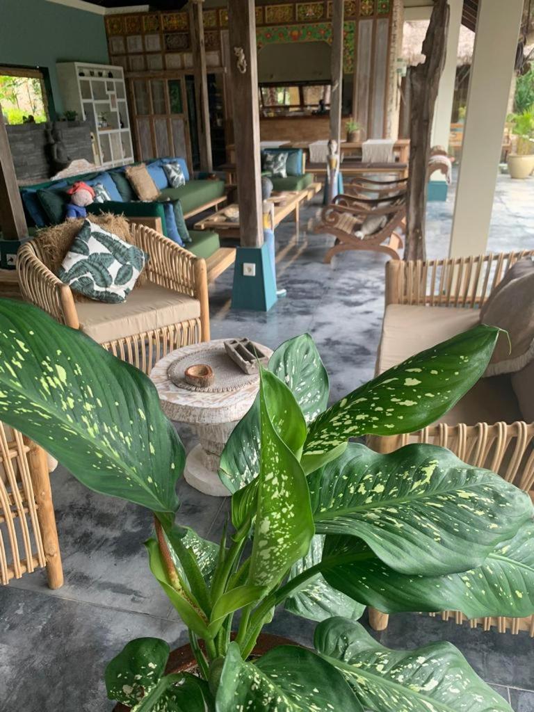 Villa Anjing