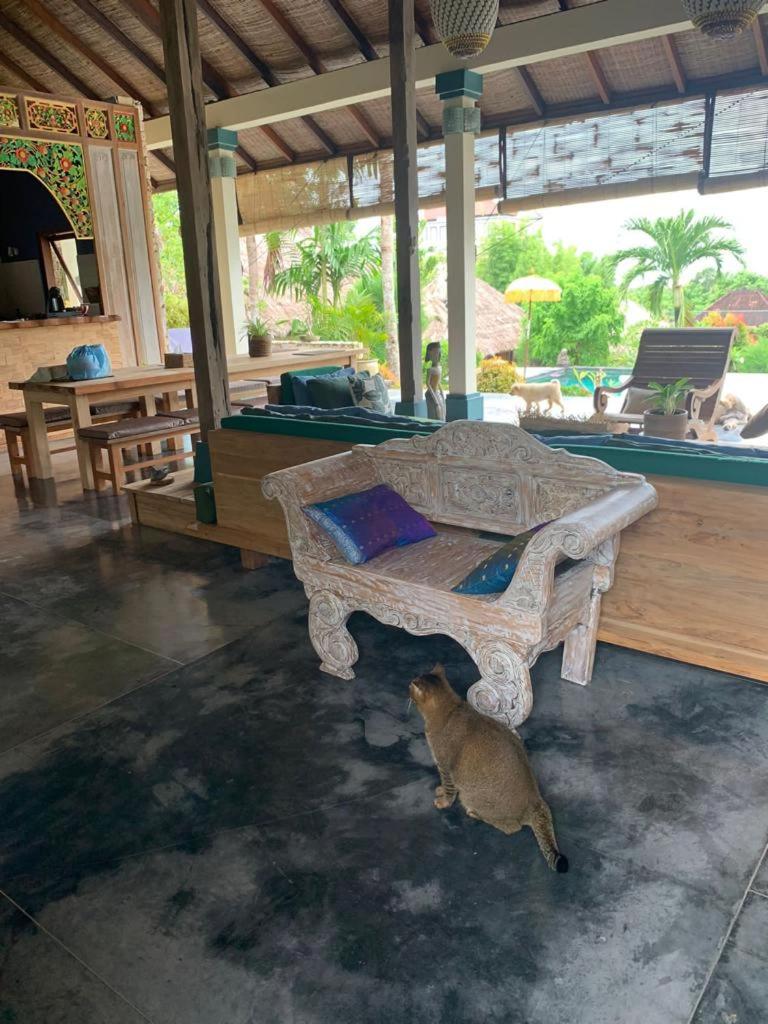Villa Anjing