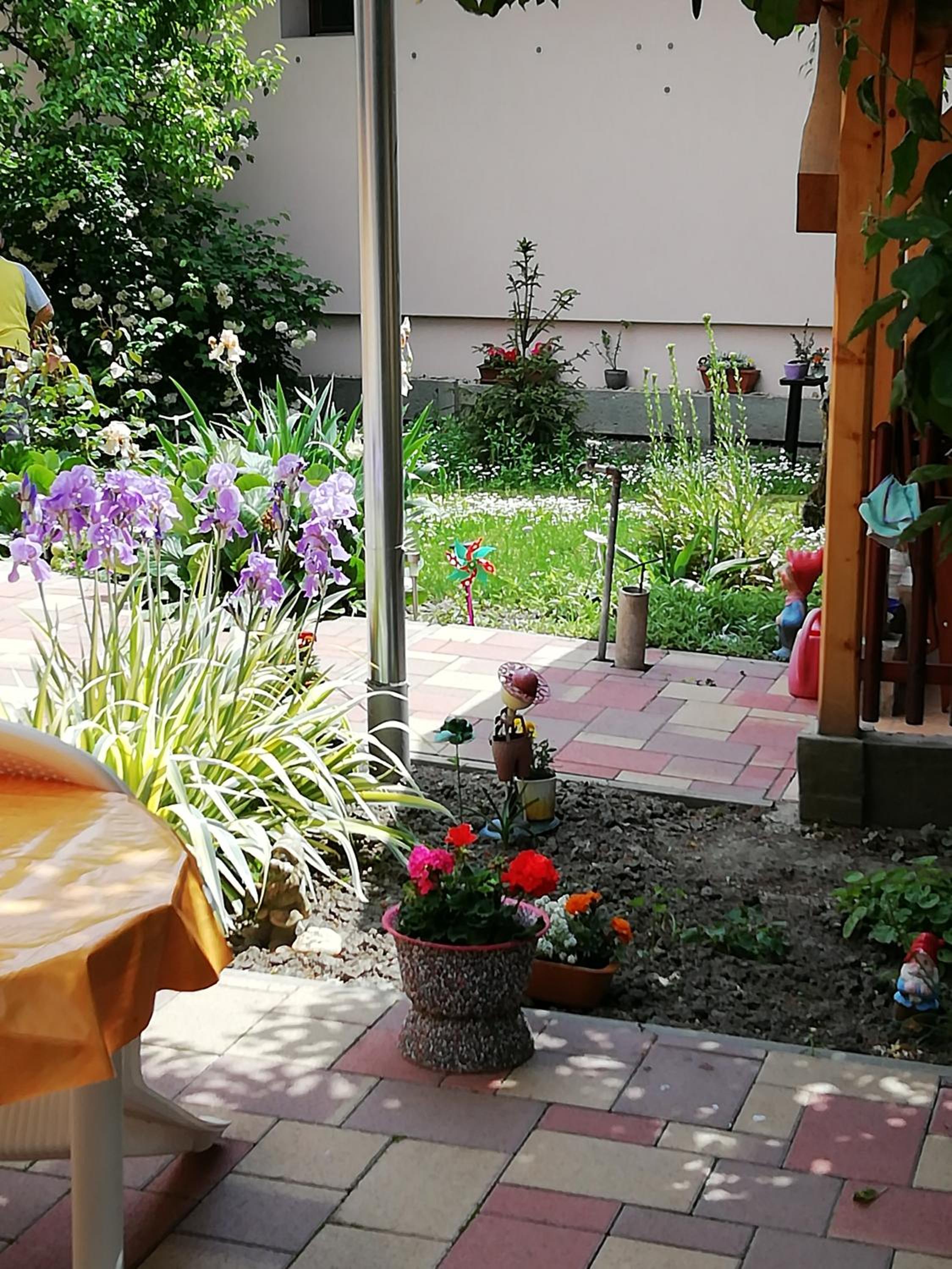 Photo 23