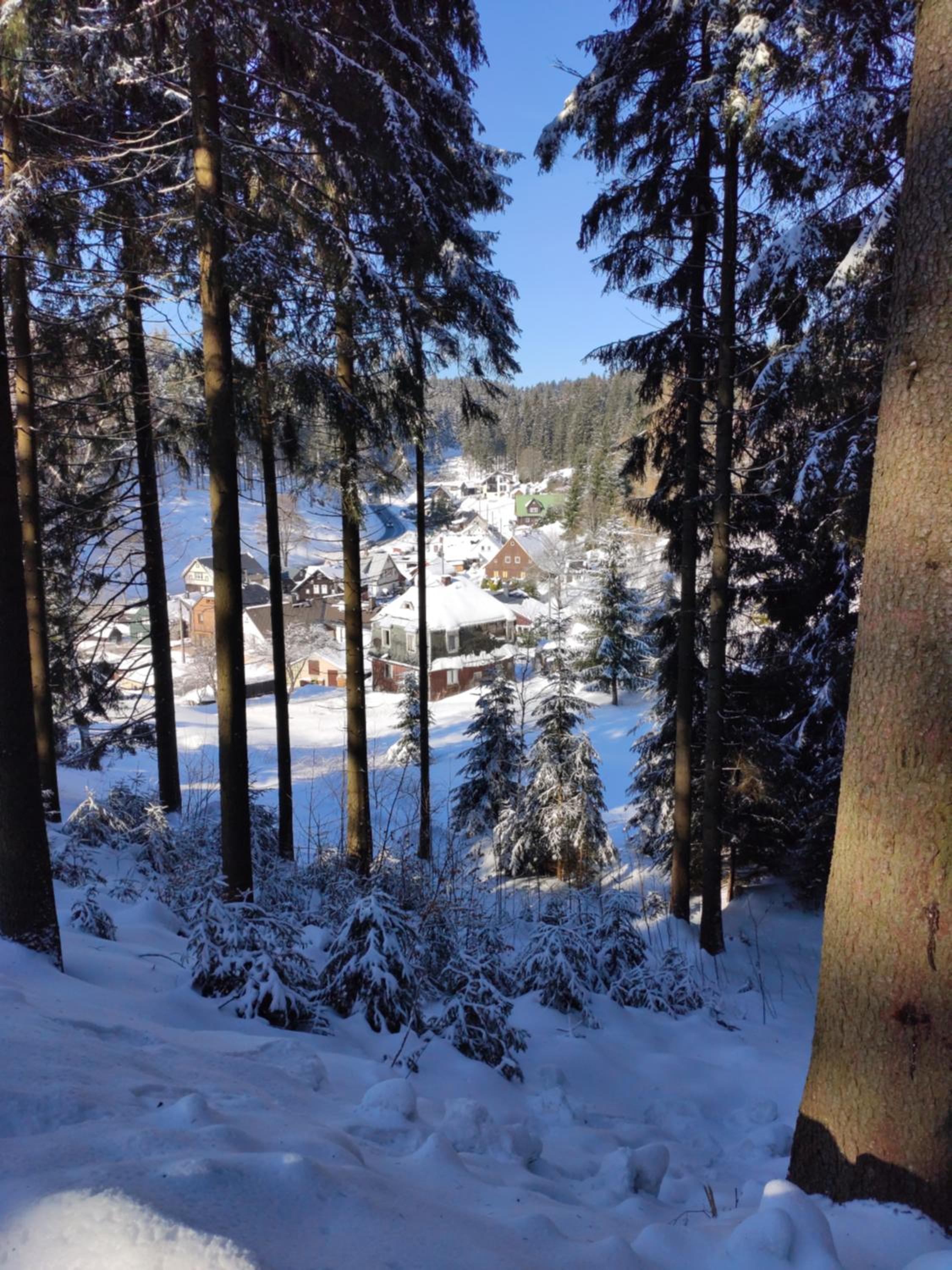 Historisches Aschberg Haisl Klingenthal, Terrasse, großer Garten 6 plus 2 Personen