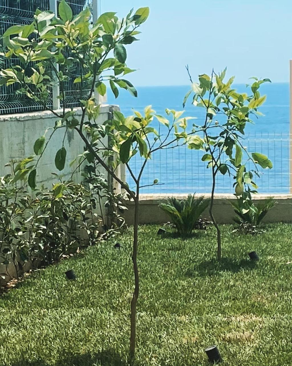 Villa Amal Palase