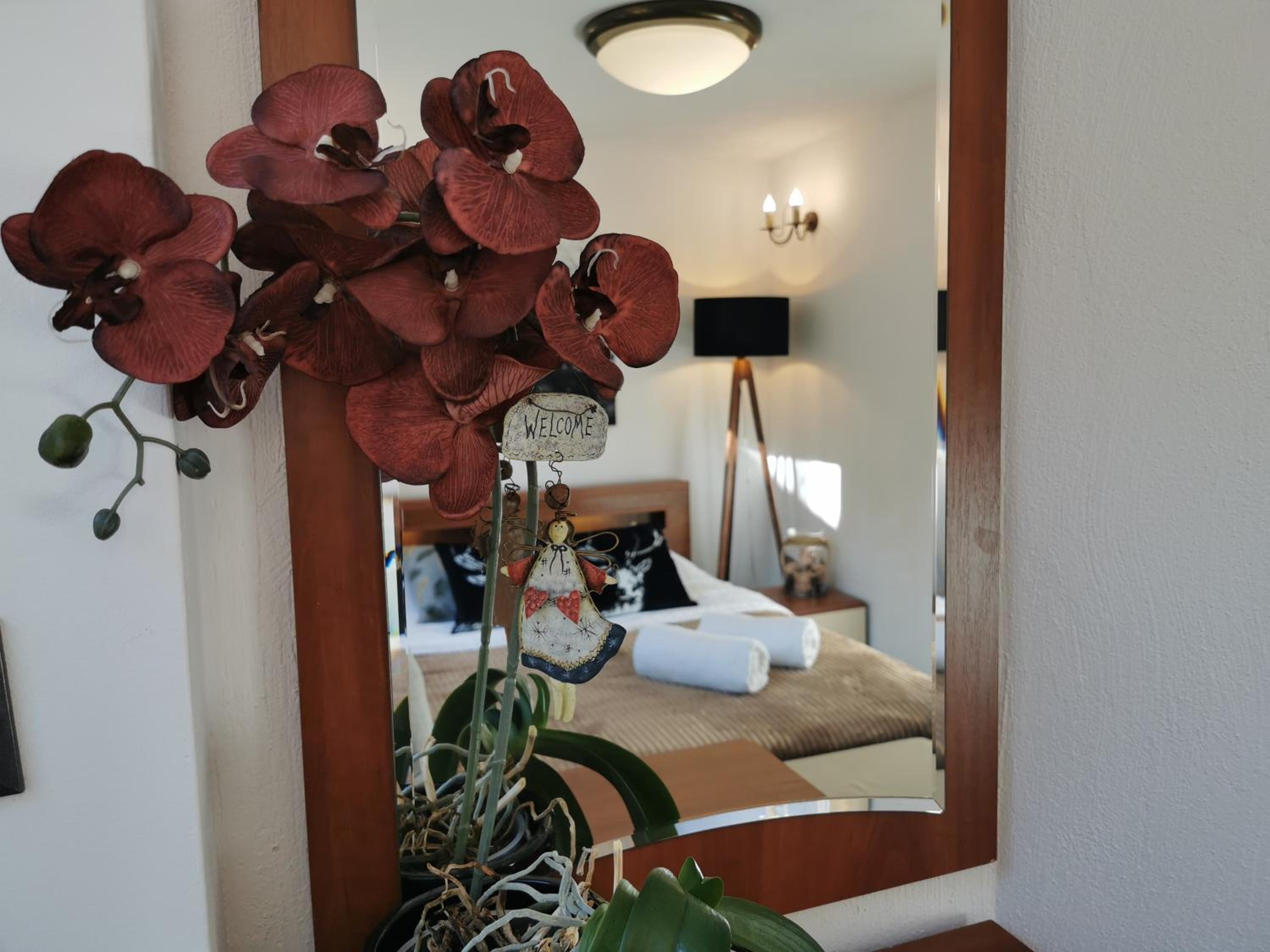 Kryształowy Apartament z pięknym ogrodem w centrum uzdrowiska view 2