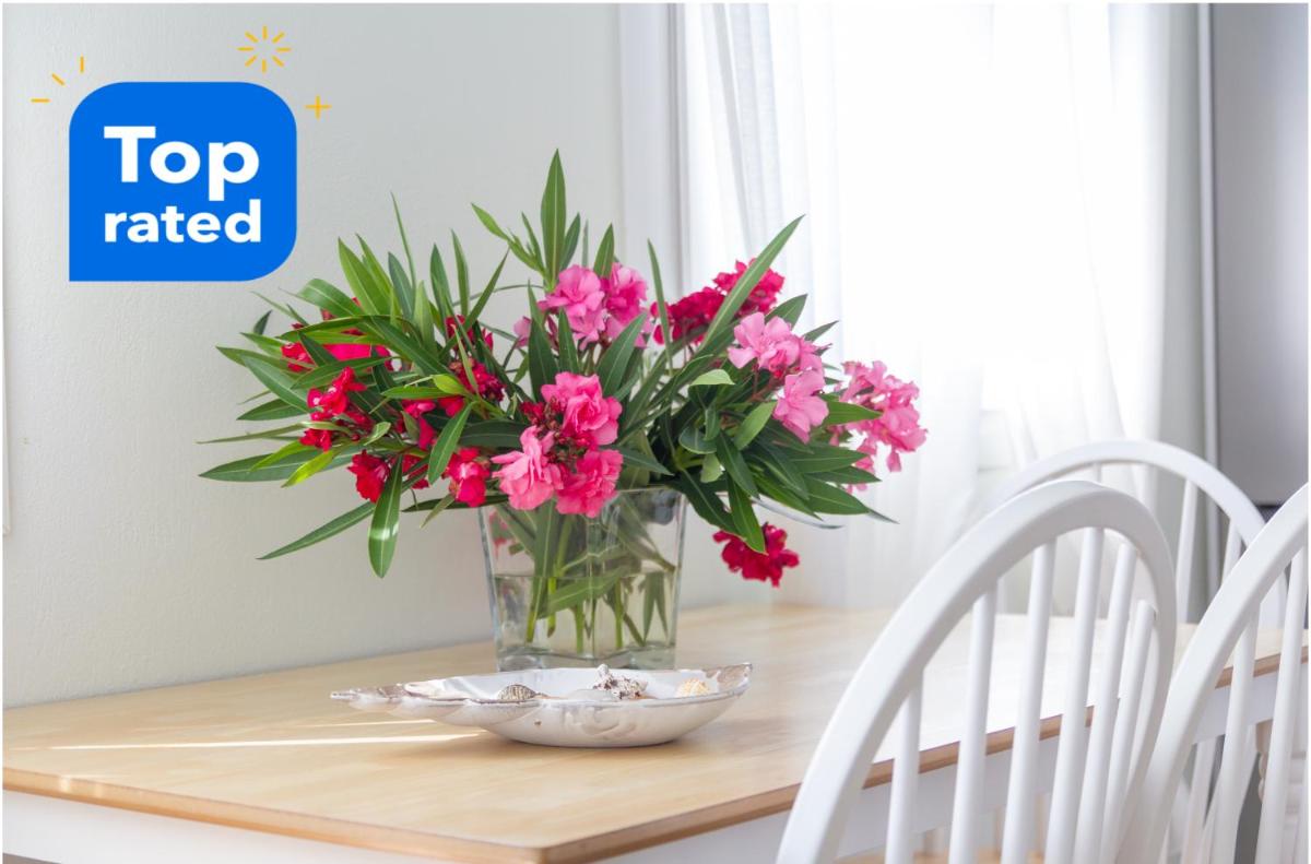 Hestia Harmony Living view 5