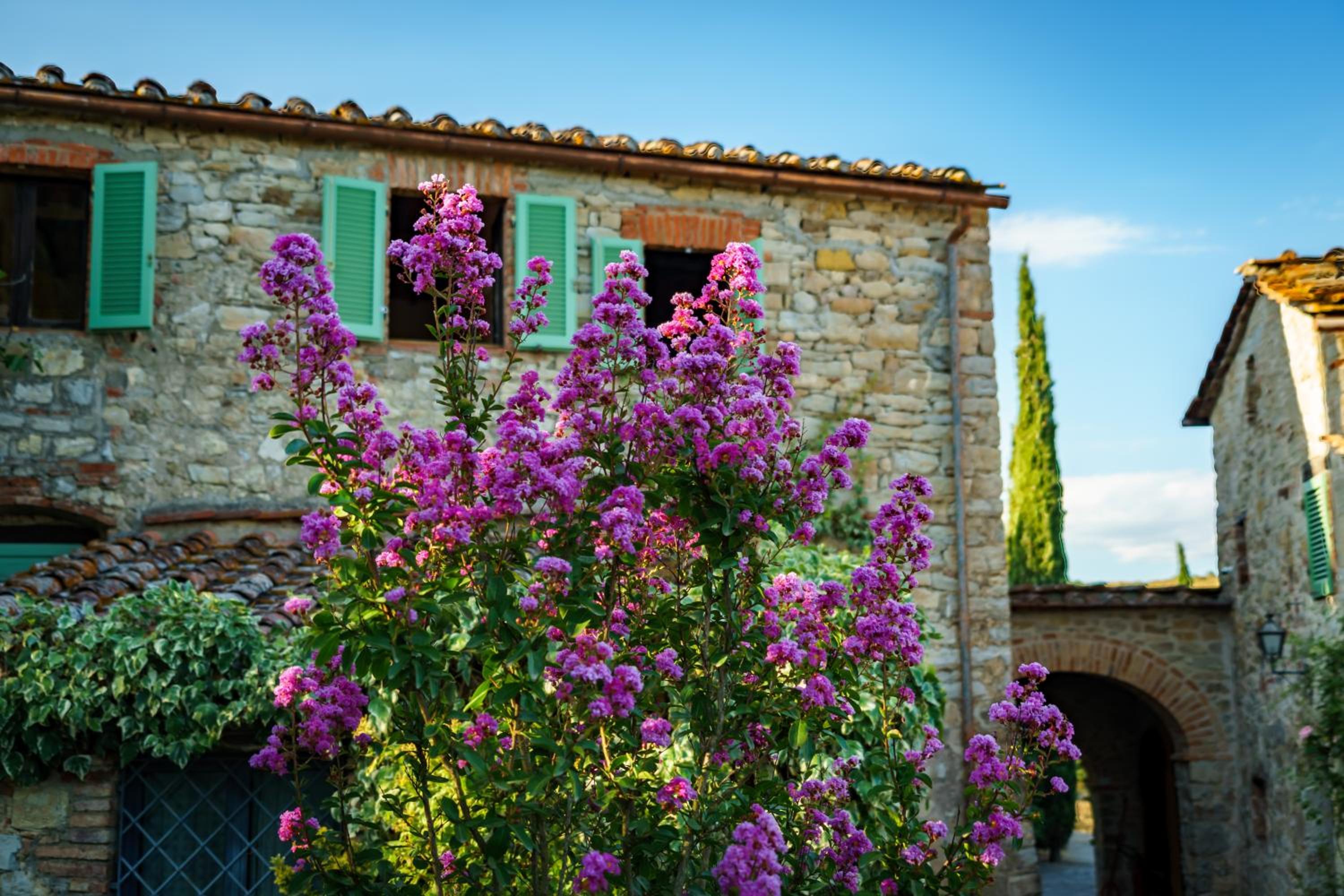 Le Celle Chianti view 3